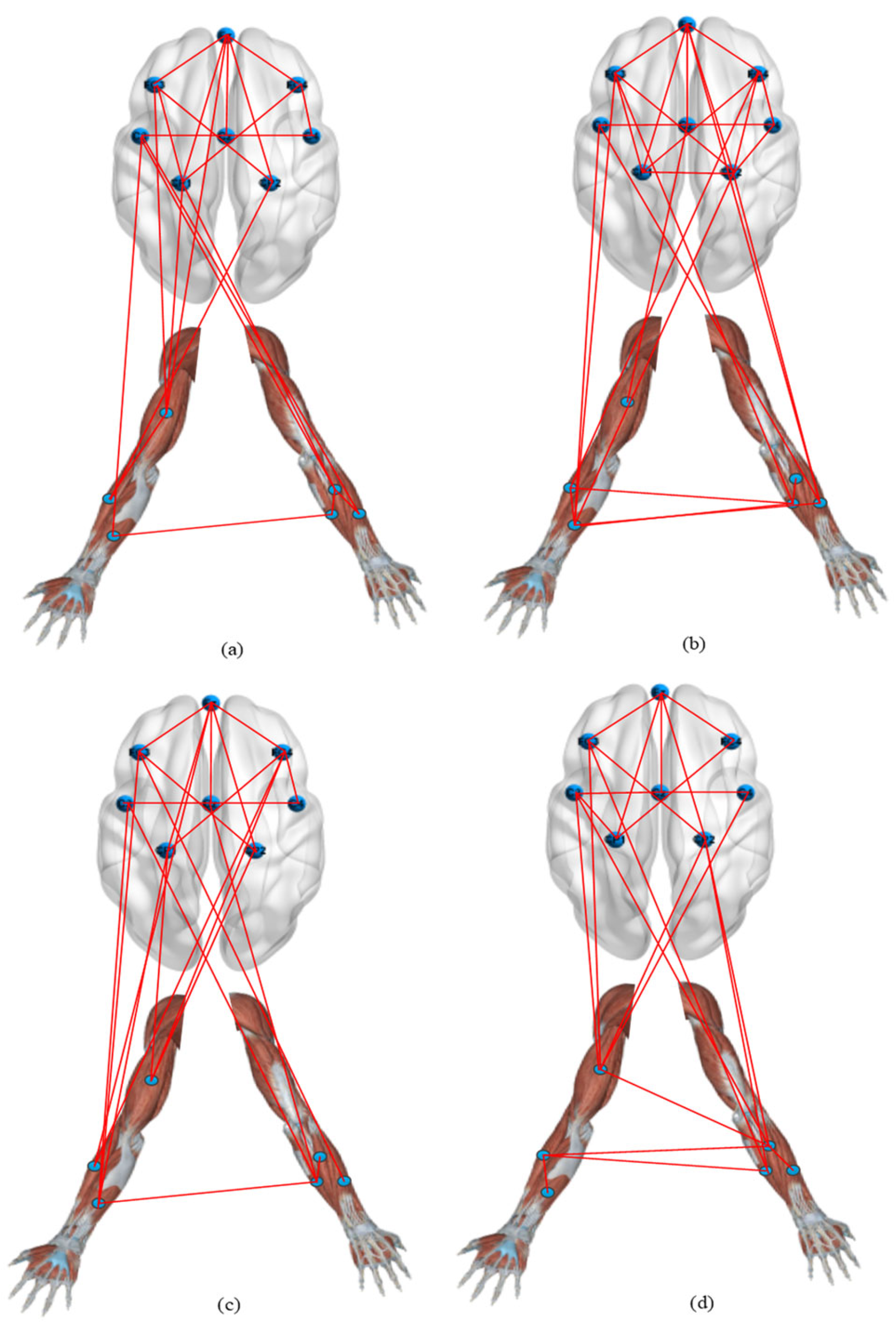 Brainsci 12 00754 g008