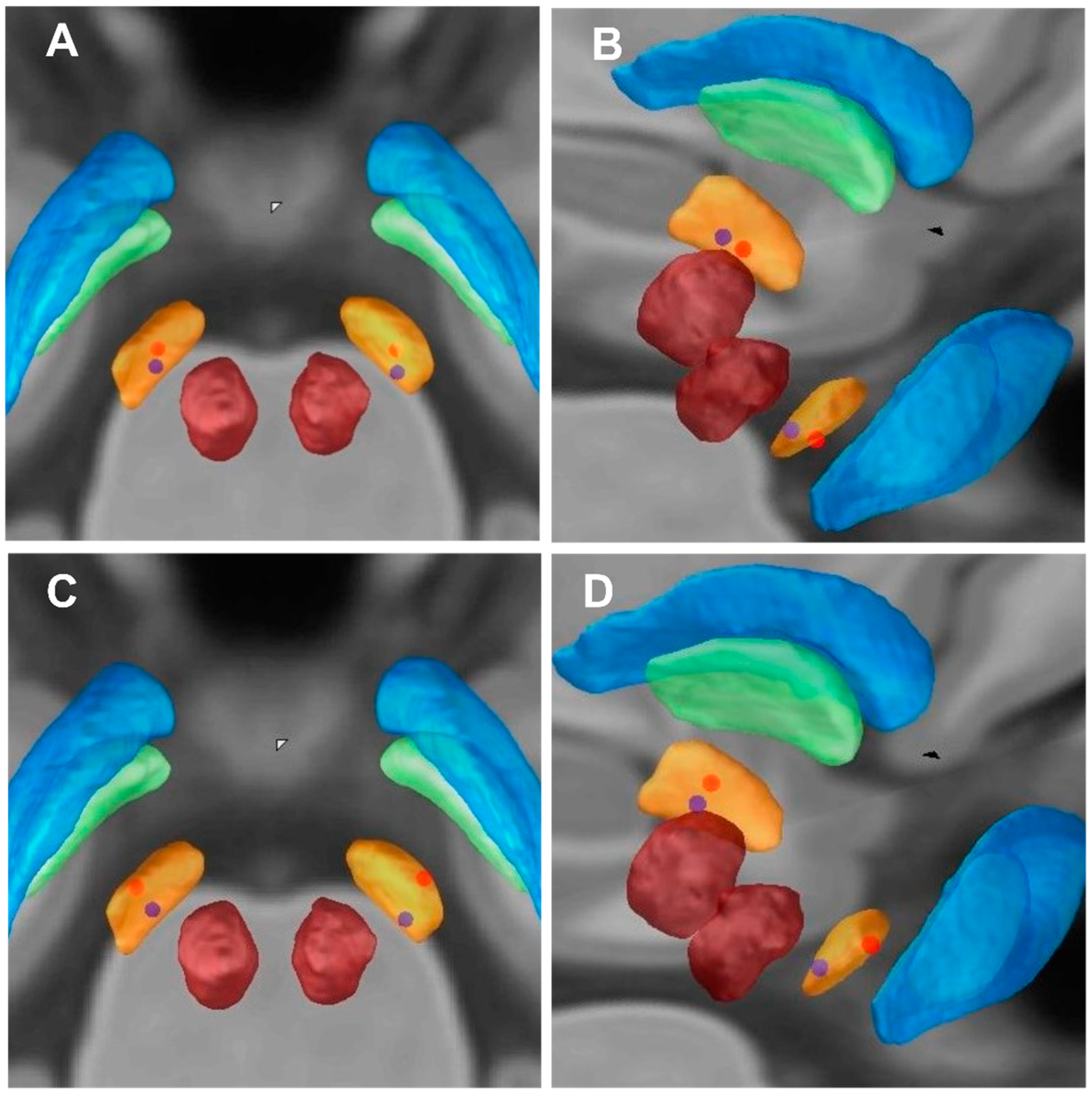 Brainsci 12 00755 g003