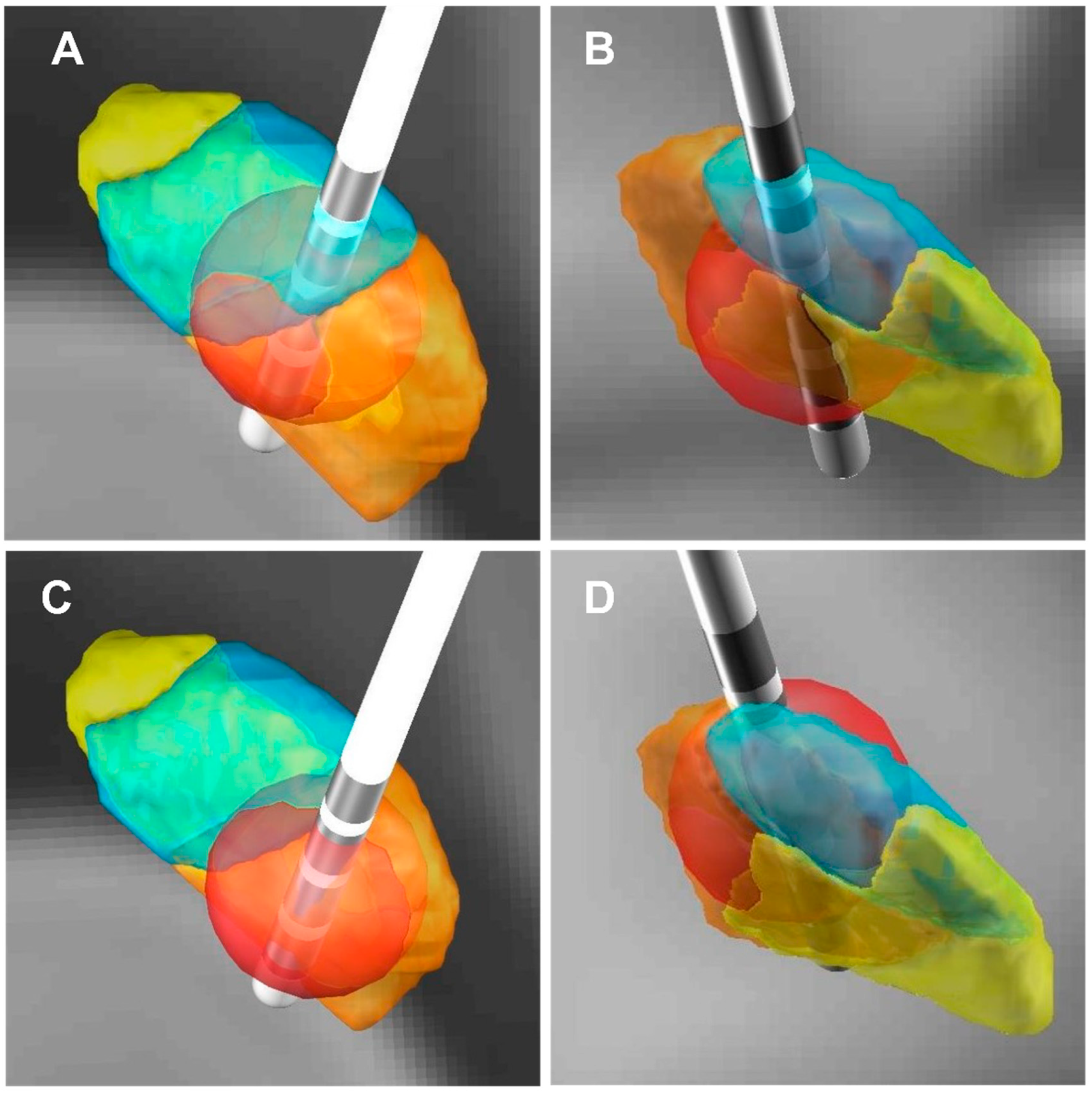 Brainsci 12 00755 g004