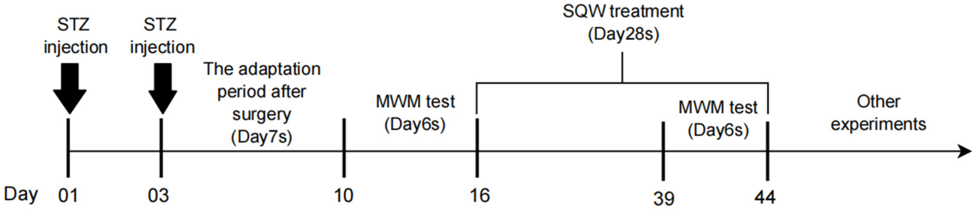 Brainsci 12 00758 g001