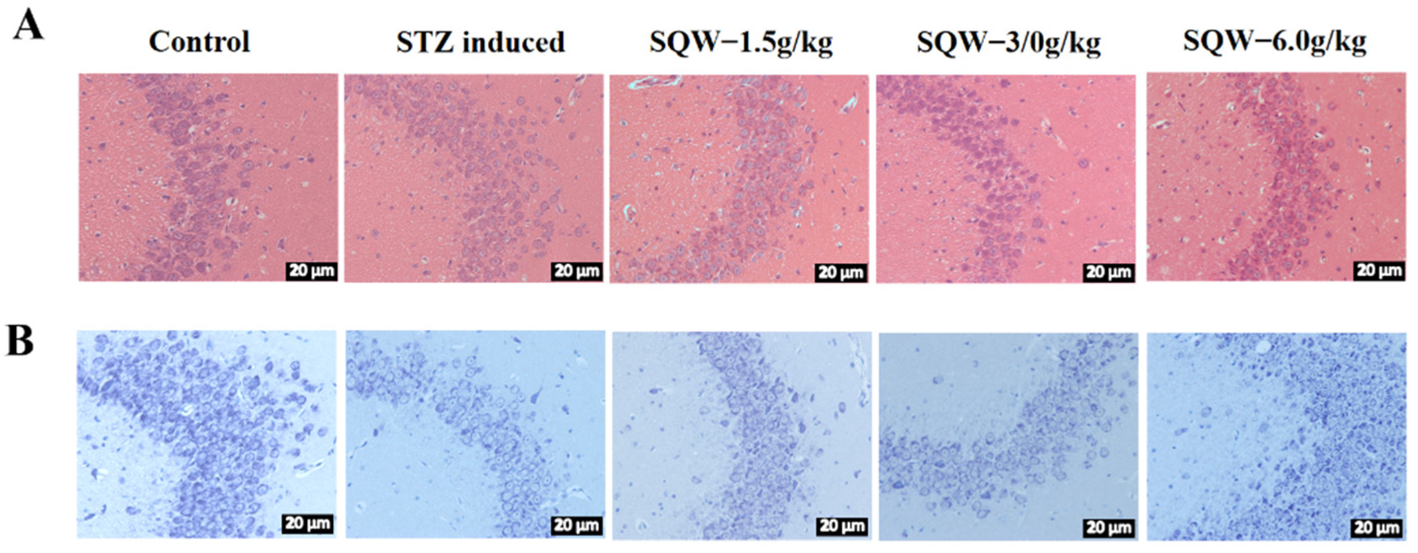 Brainsci 12 00758 g003
