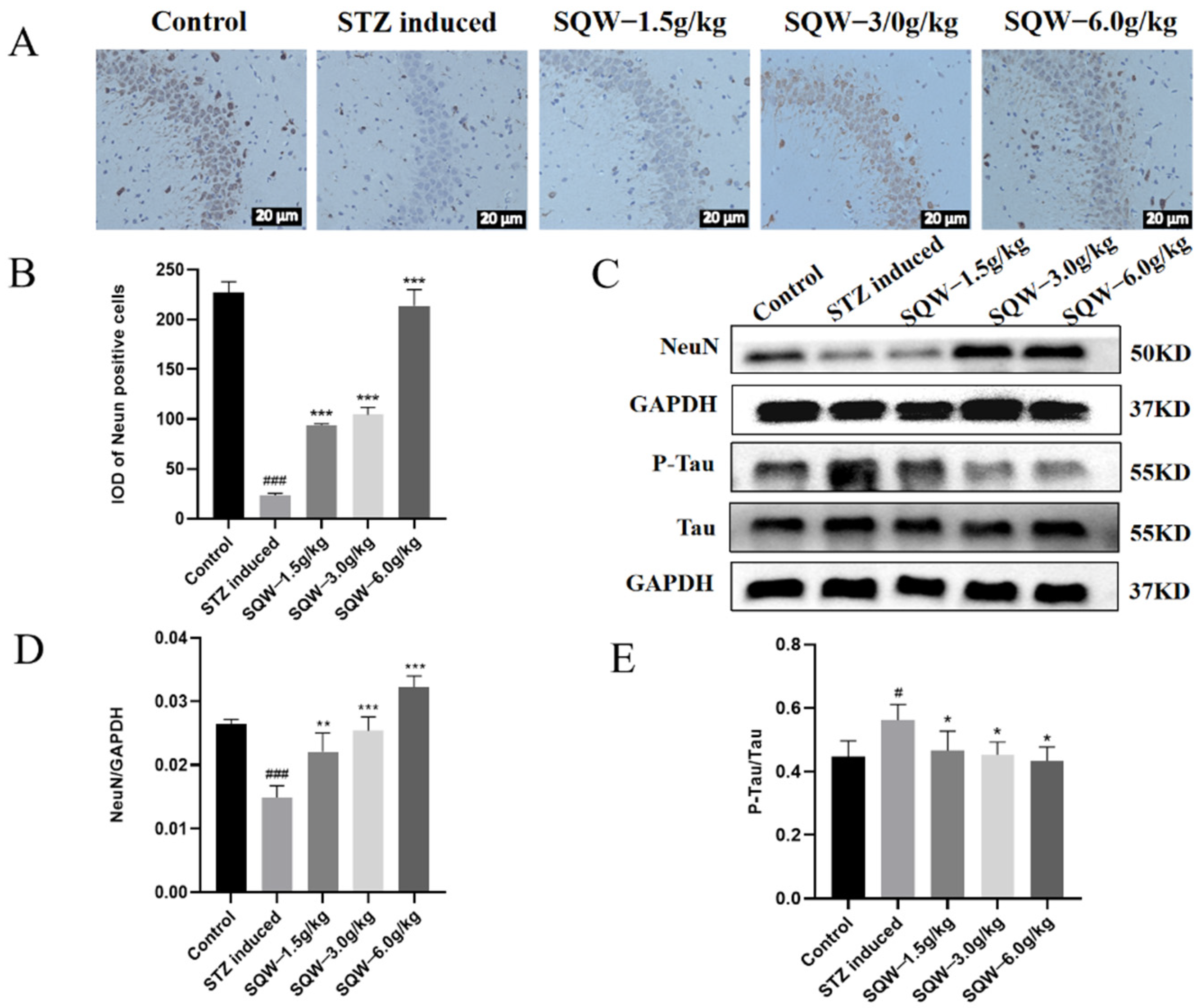 Brainsci 12 00758 g004