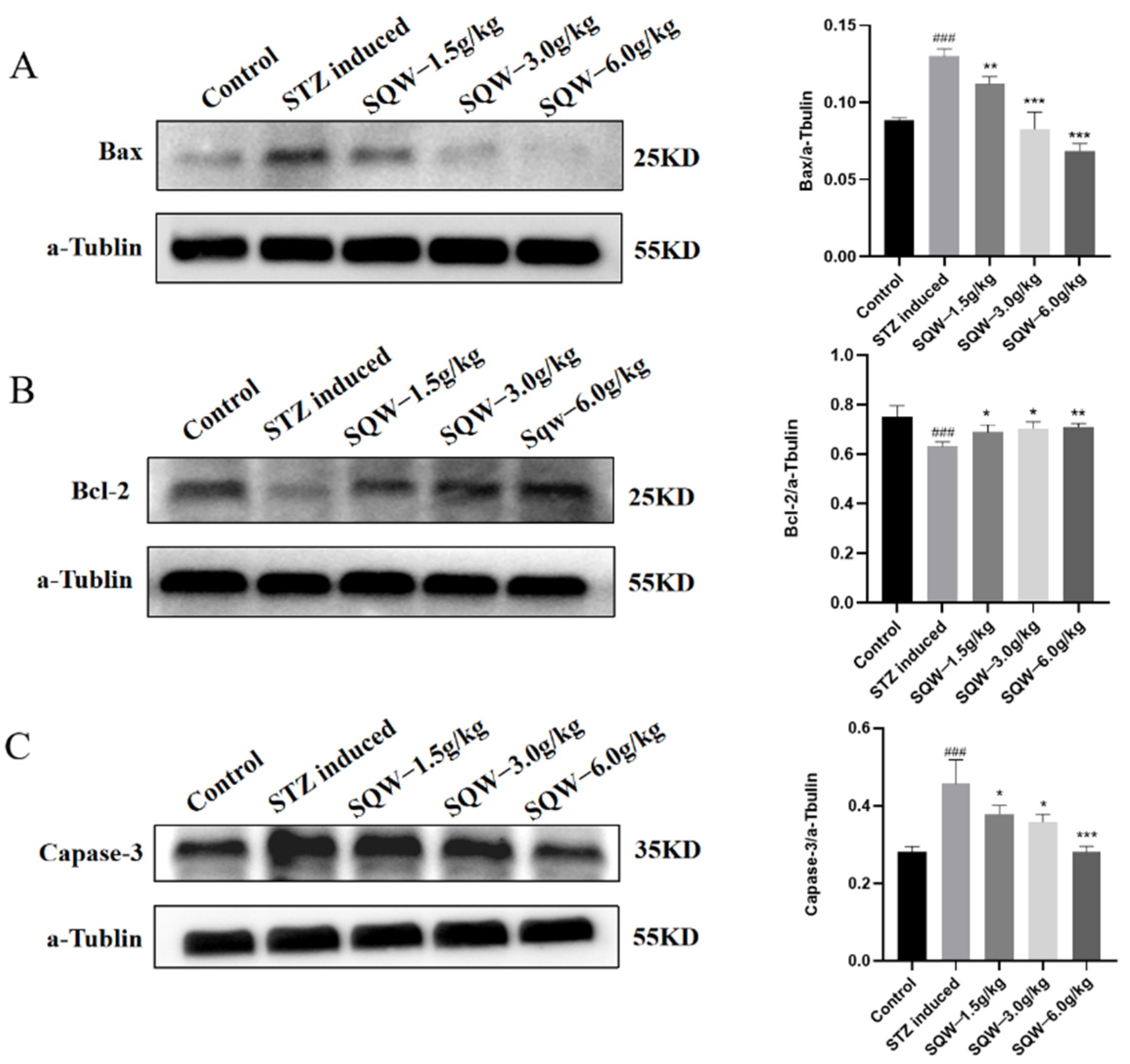 Brainsci 12 00758 g005