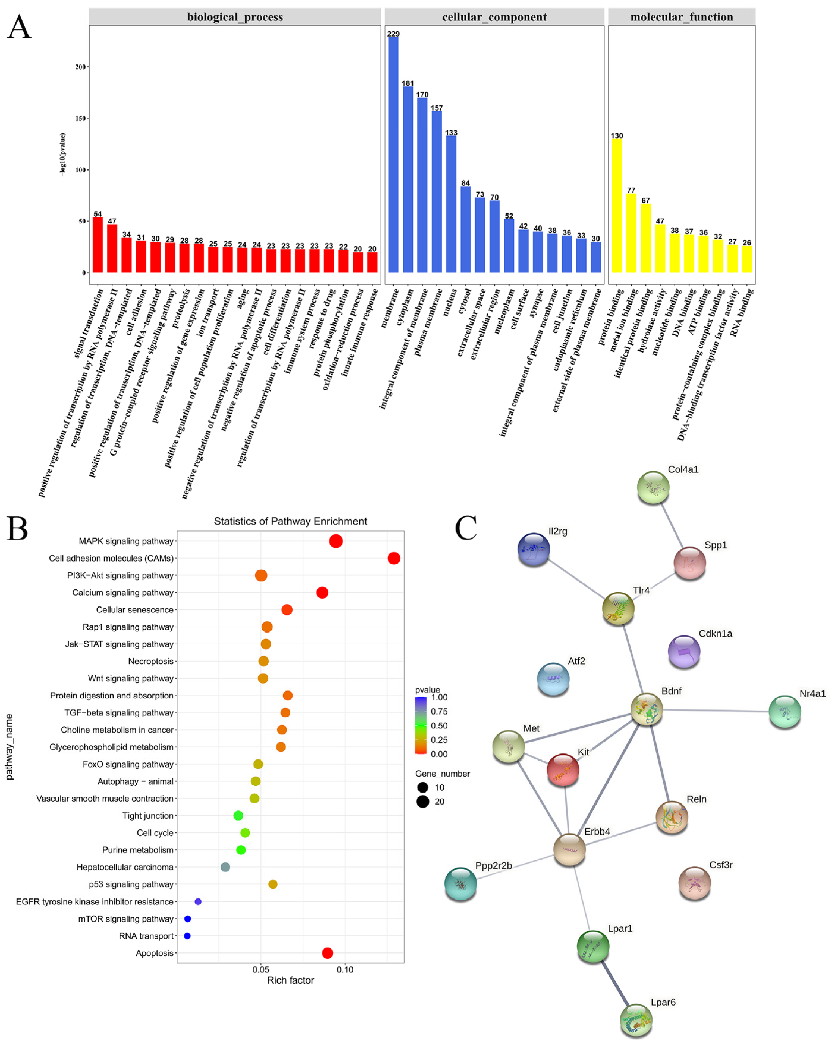 Brainsci 12 00758 g007
