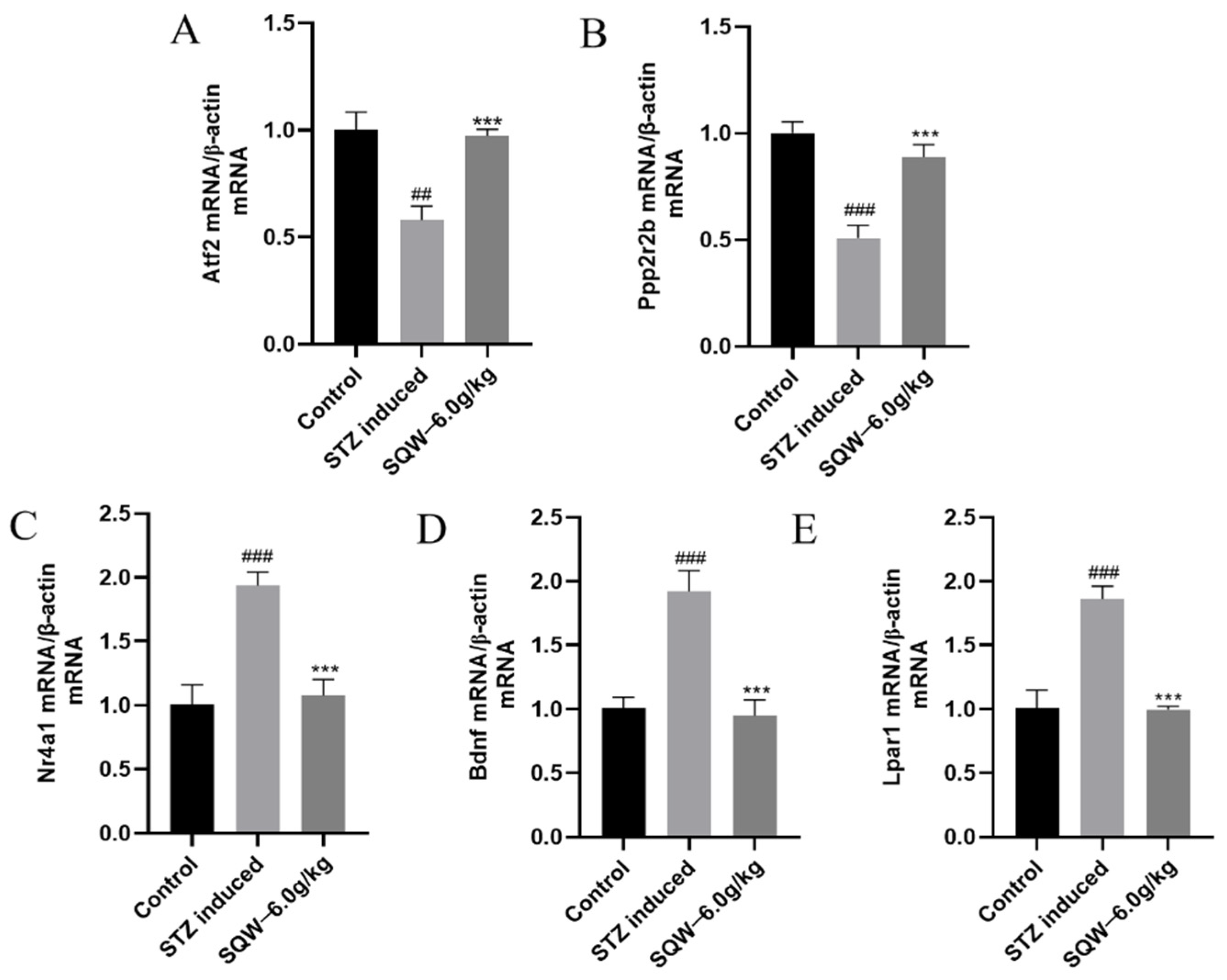 Brainsci 12 00758 g008