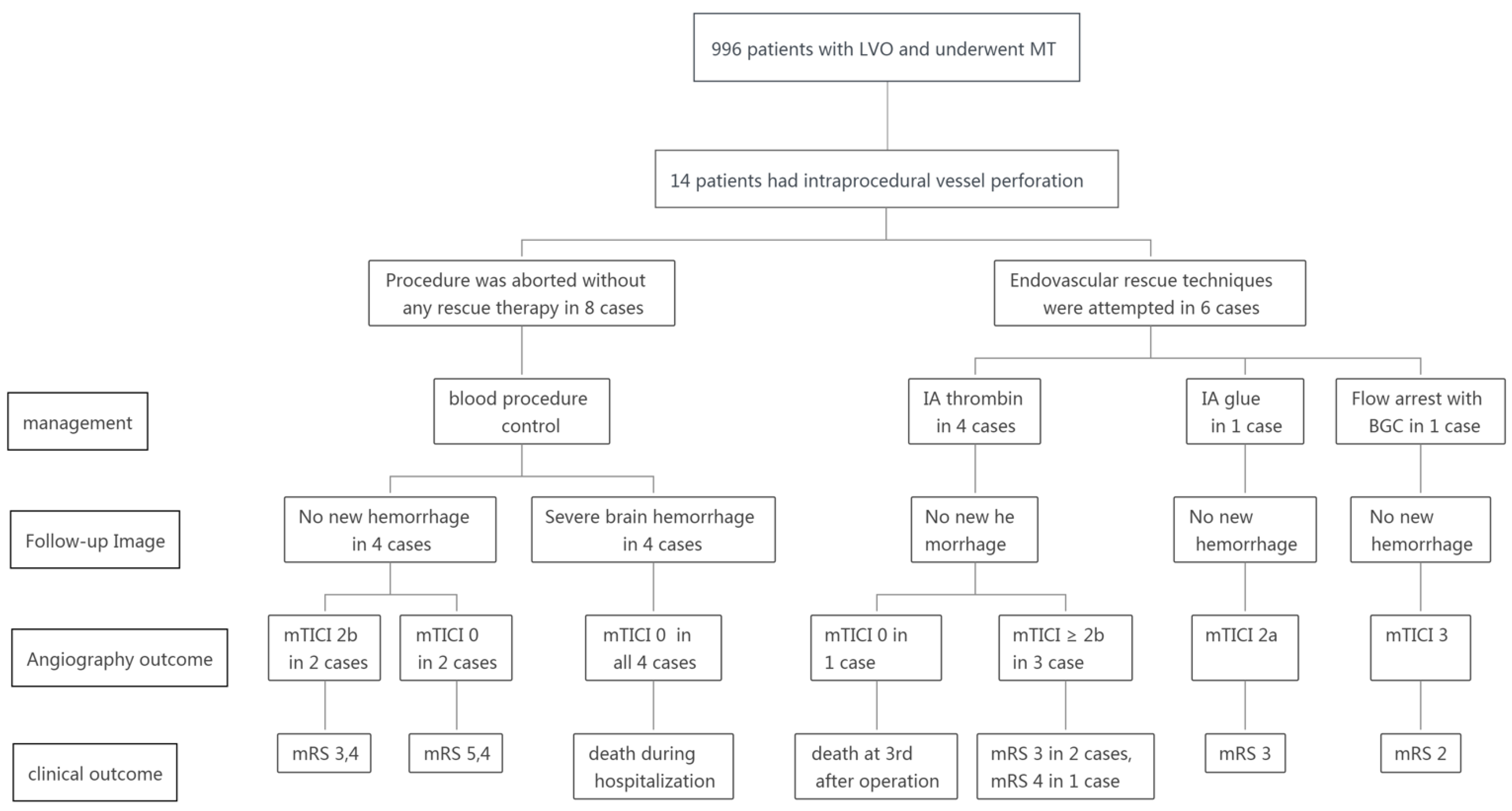 Brainsci 12 00760 g001