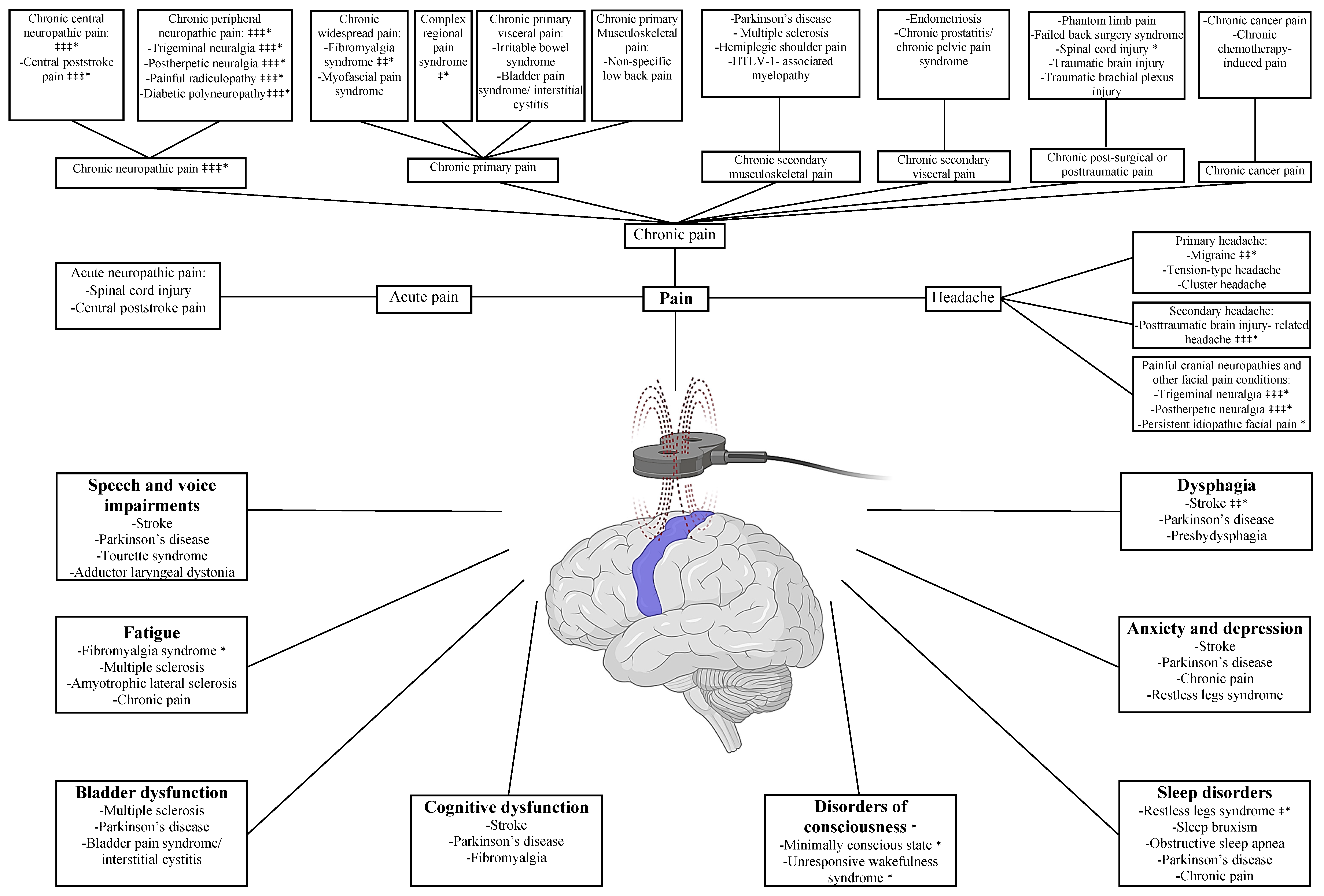 Brainsci 12 00761 g001