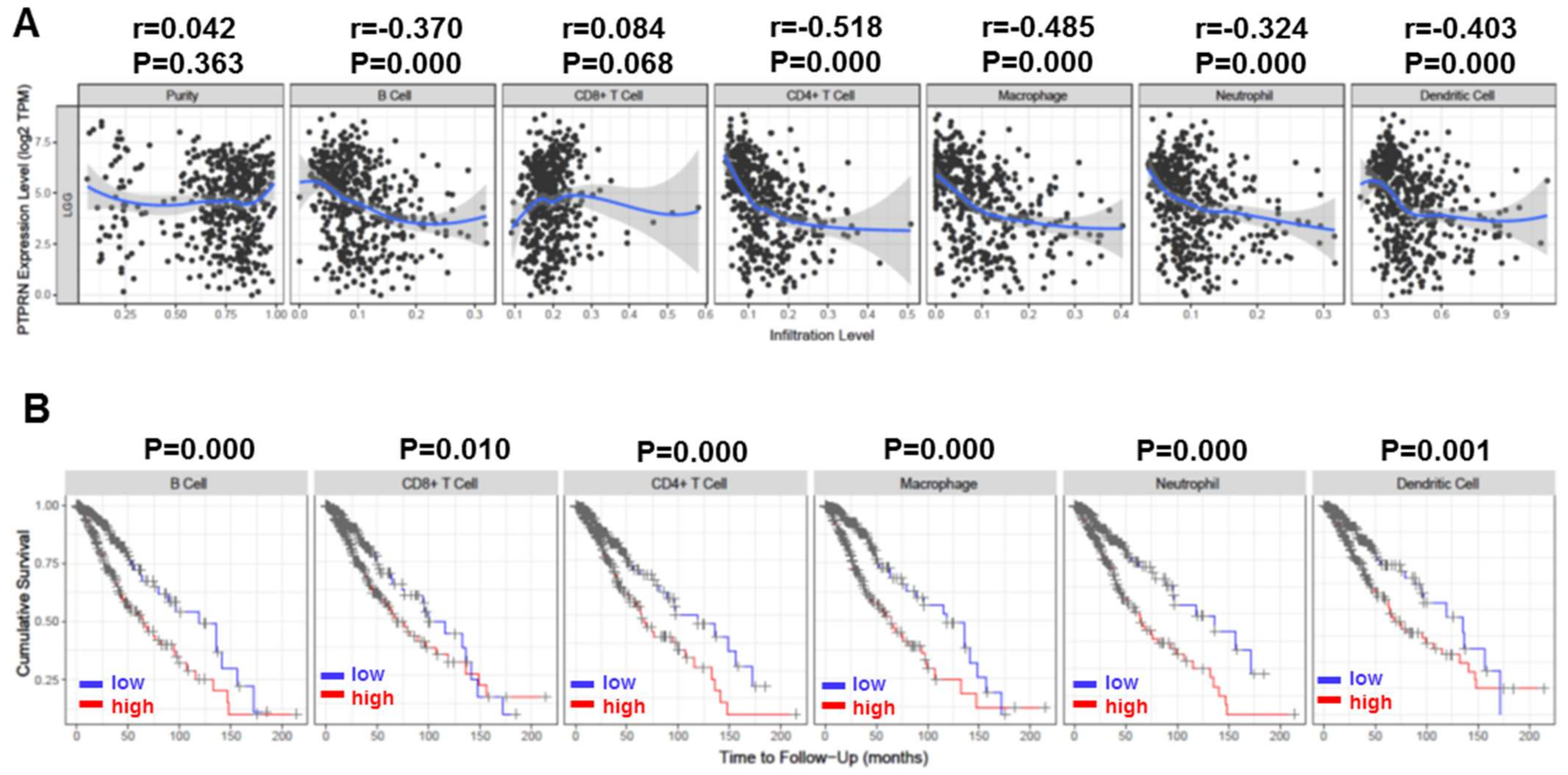 Brainsci 12 00763 g004