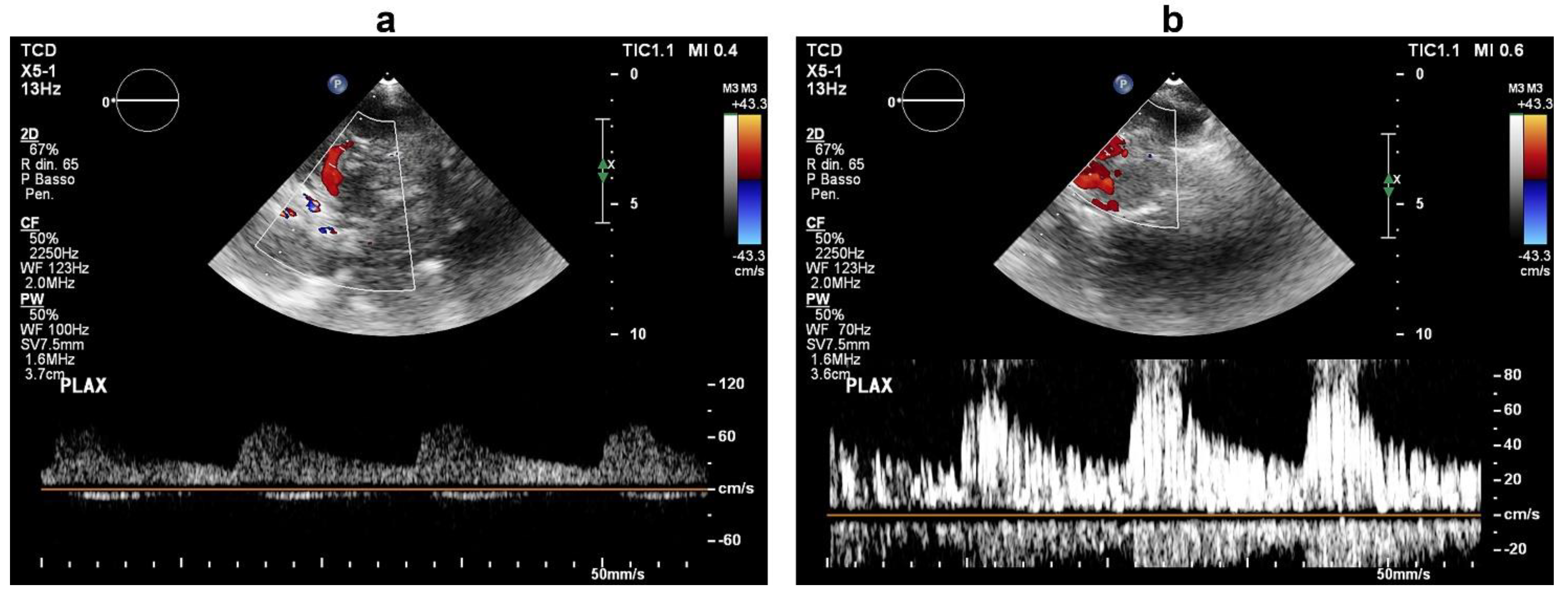 Brainsci 12 00772 g002 550