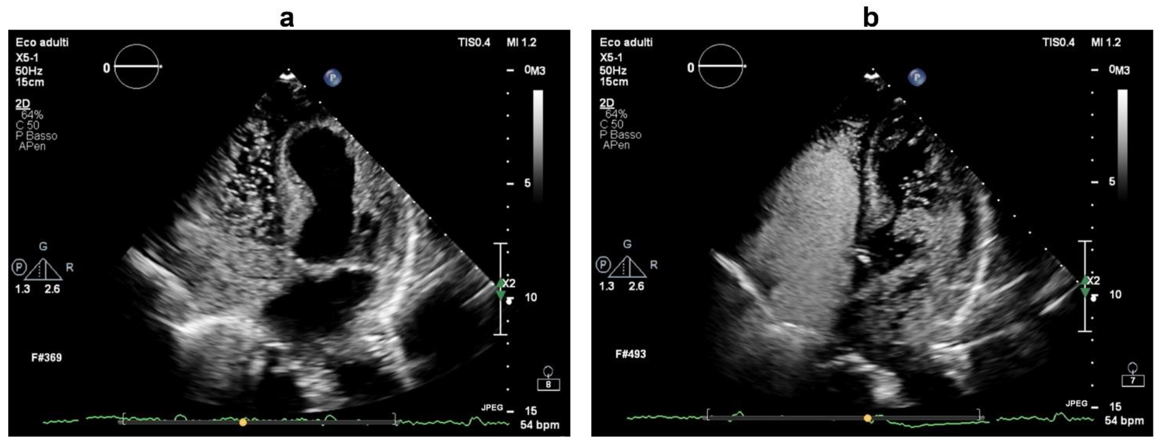 Brainsci 12 00772 g003 550