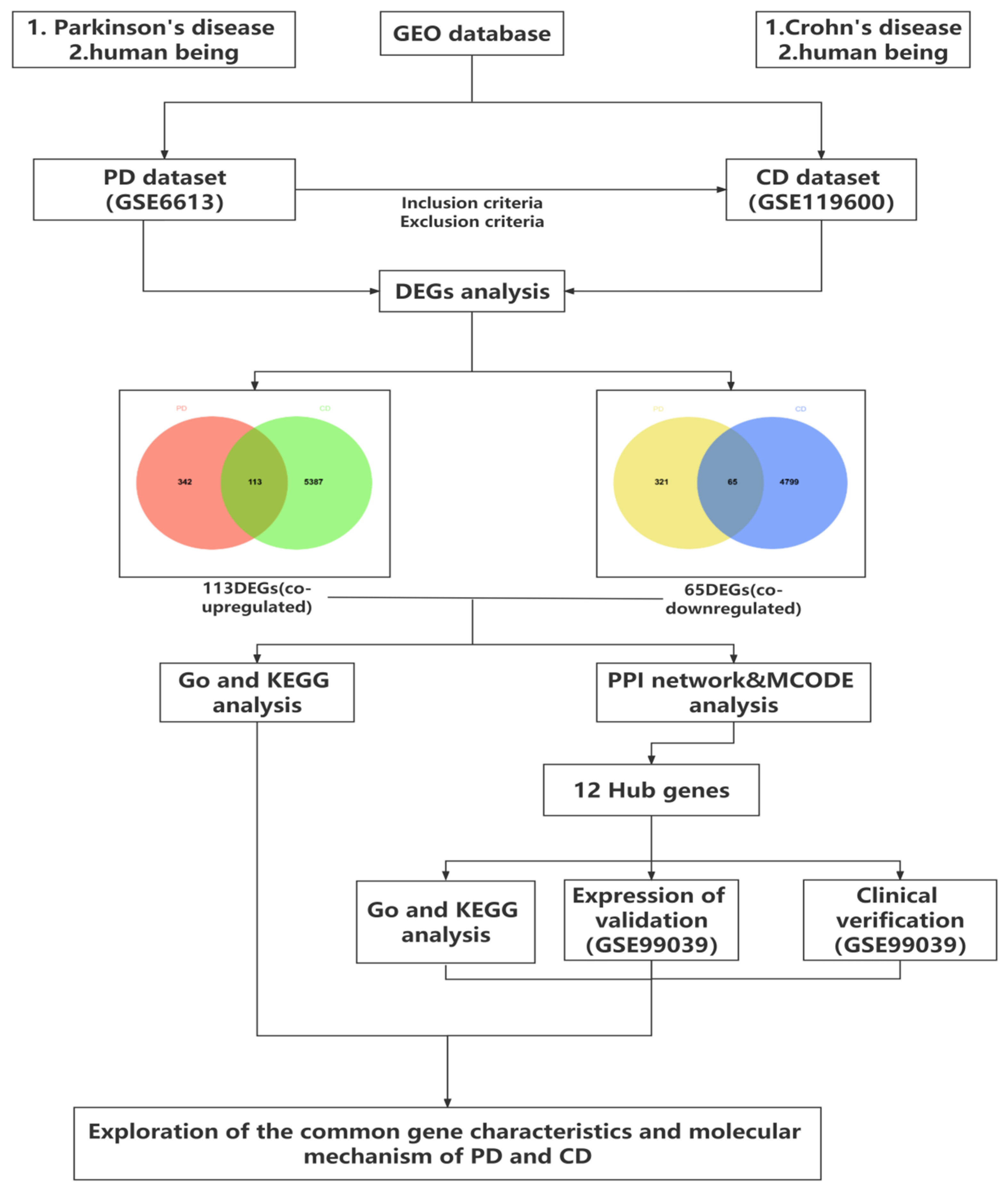Brainsci 12 00774 g001