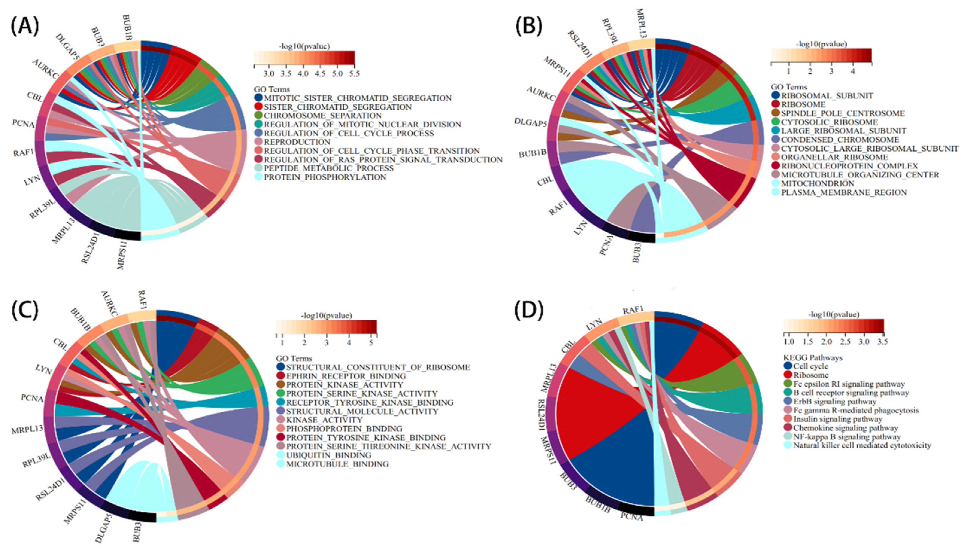 Brainsci 12 00774 g006
