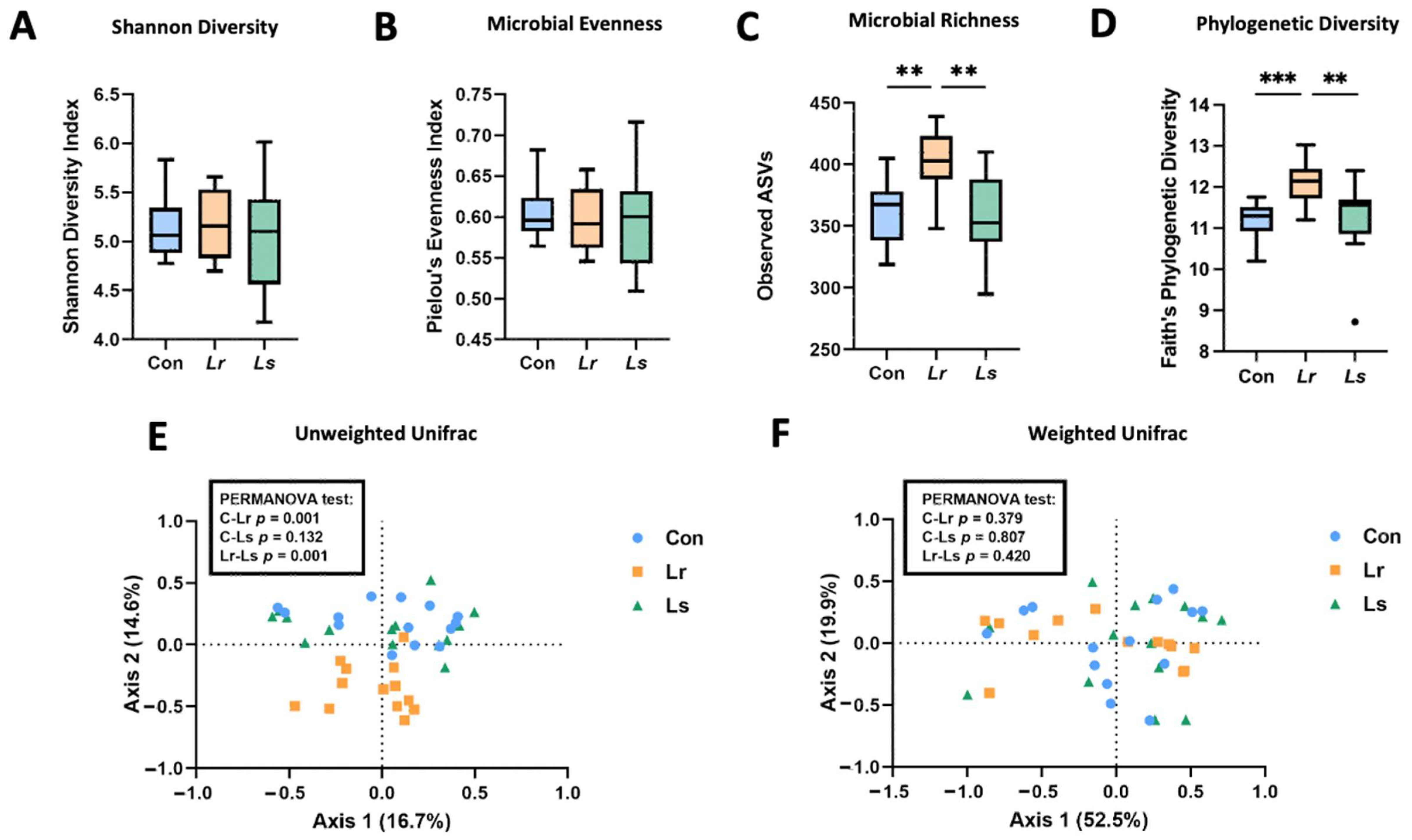 Brainsci 12 00781 g002 550