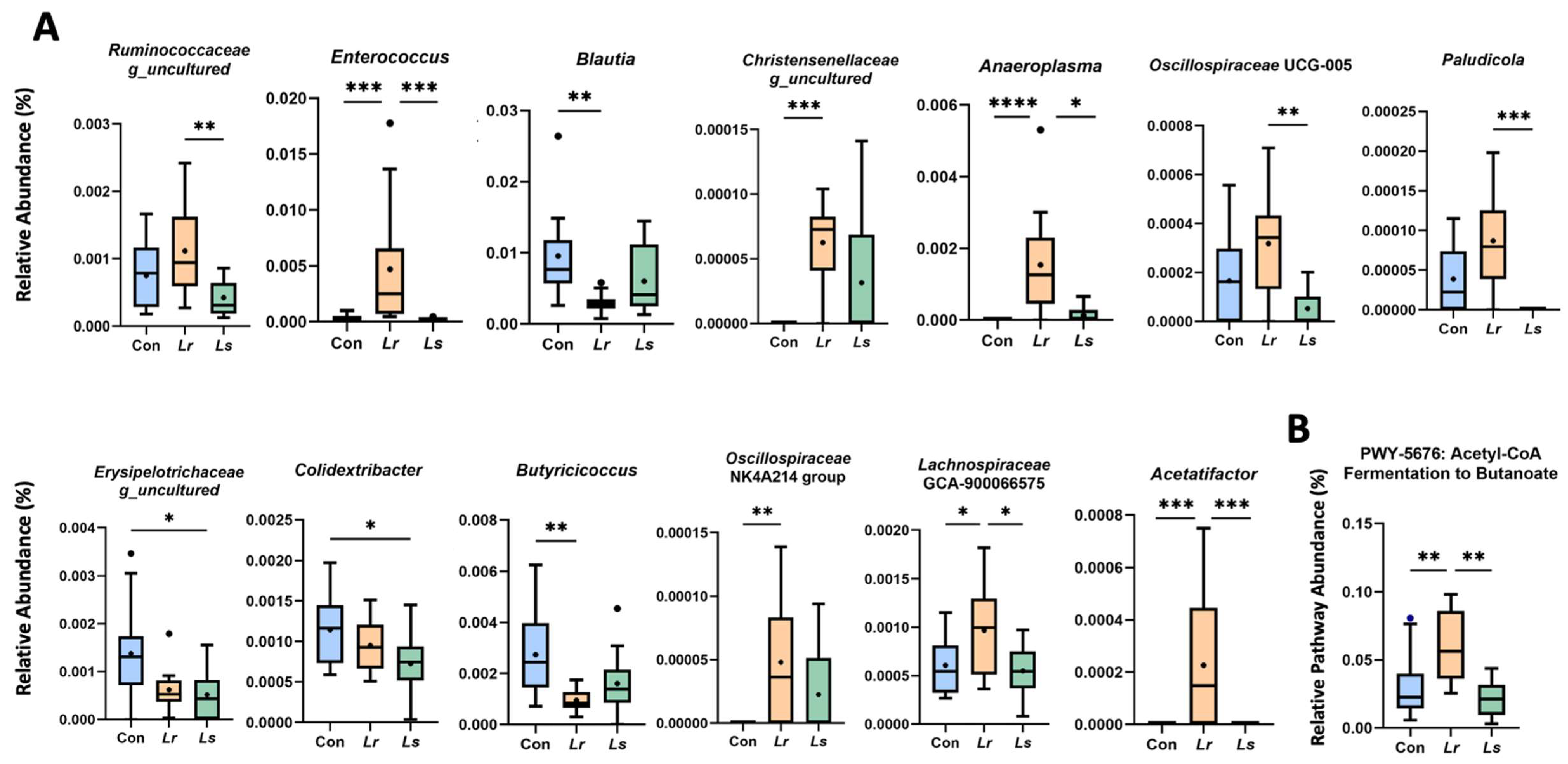 Brainsci 12 00781 g003 550