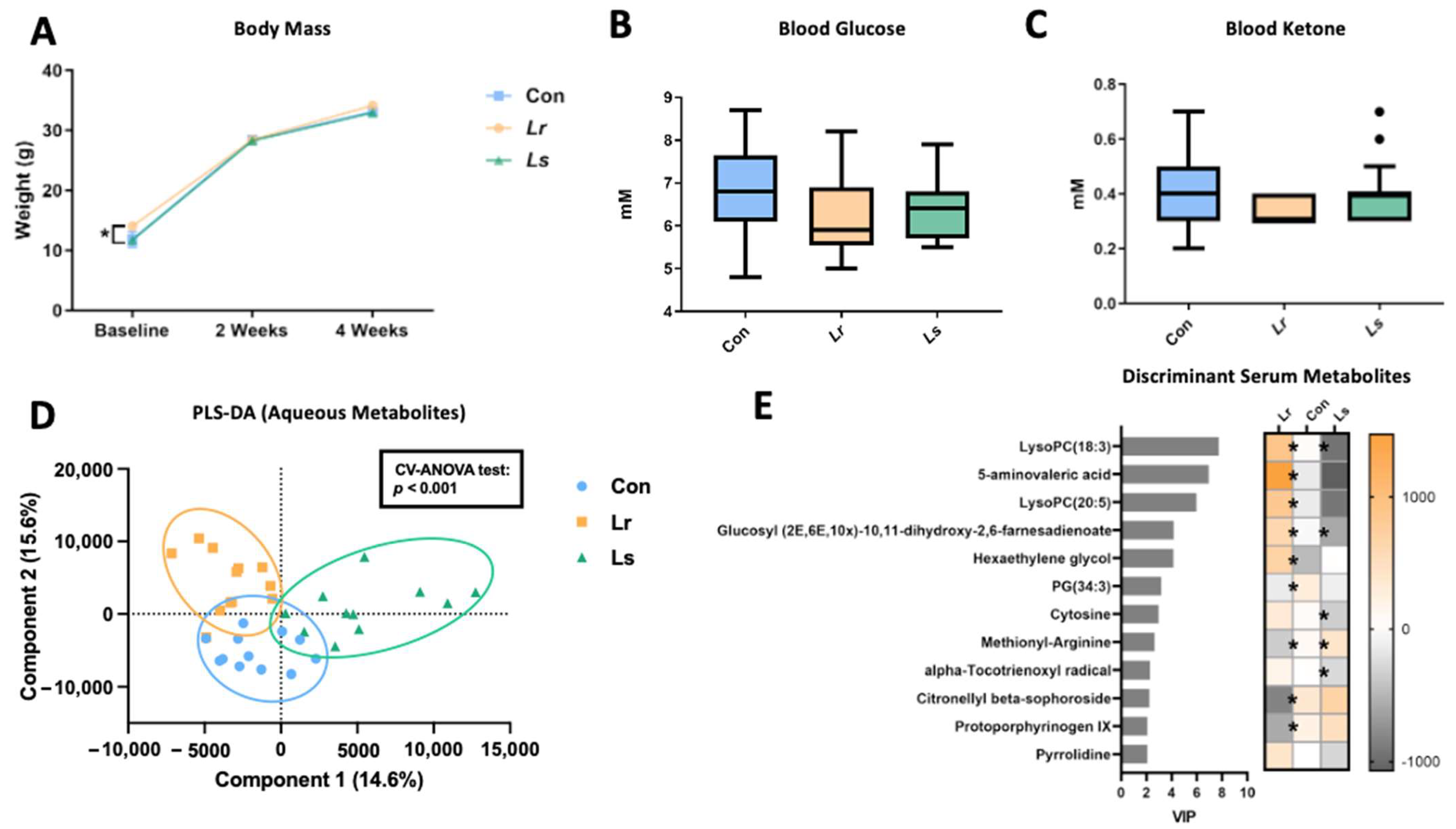 Brainsci 12 00781 g005 550