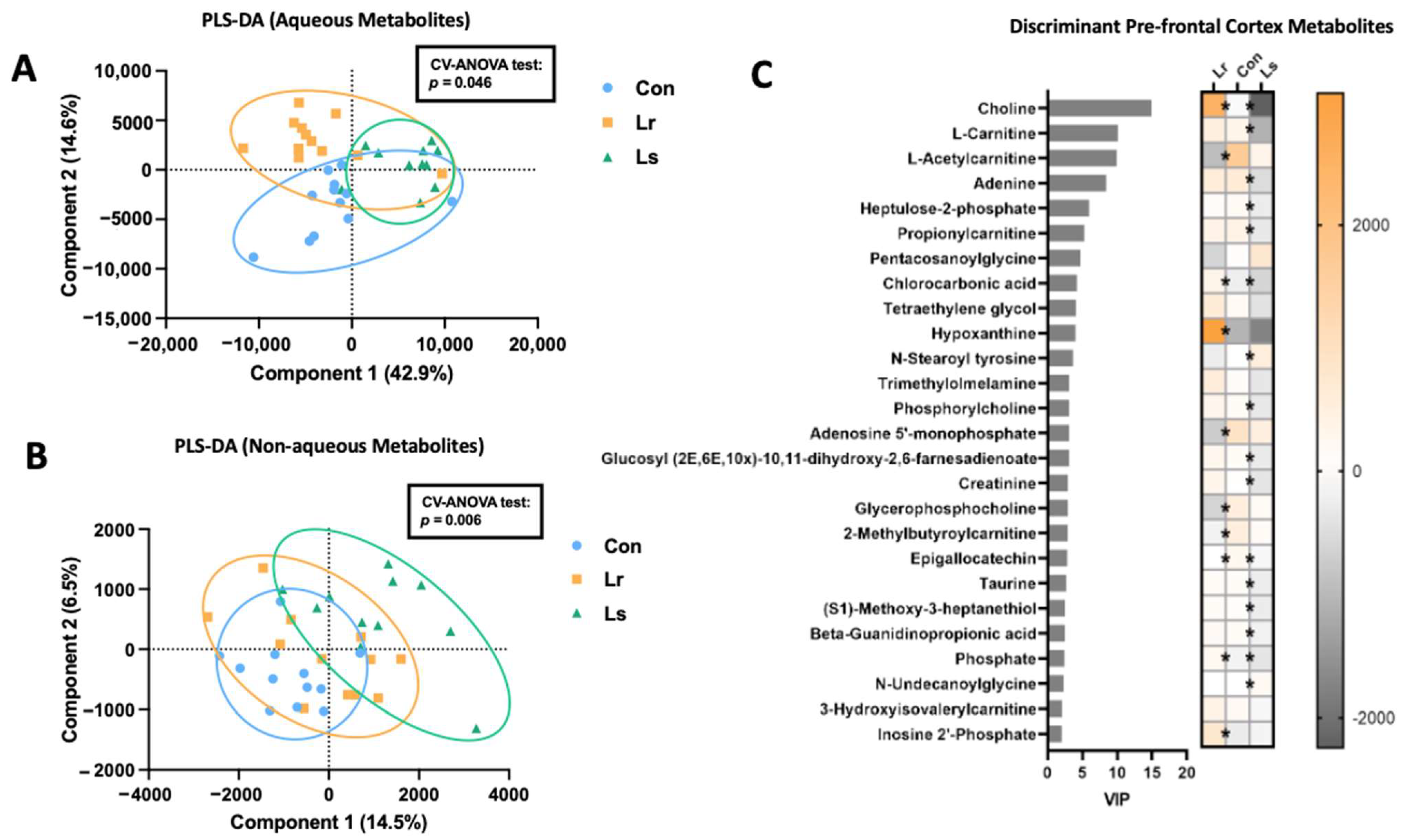 Brainsci 12 00781 g006 550