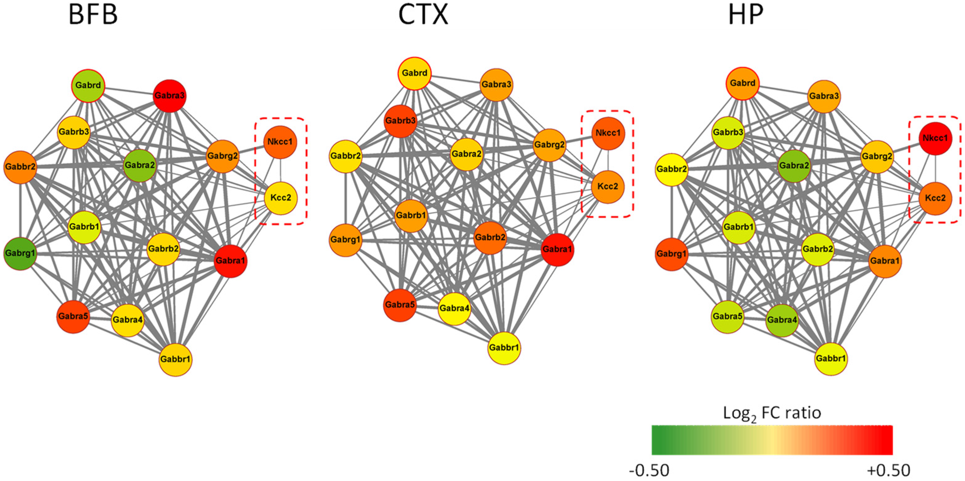 Brainsci 12 00783 g003