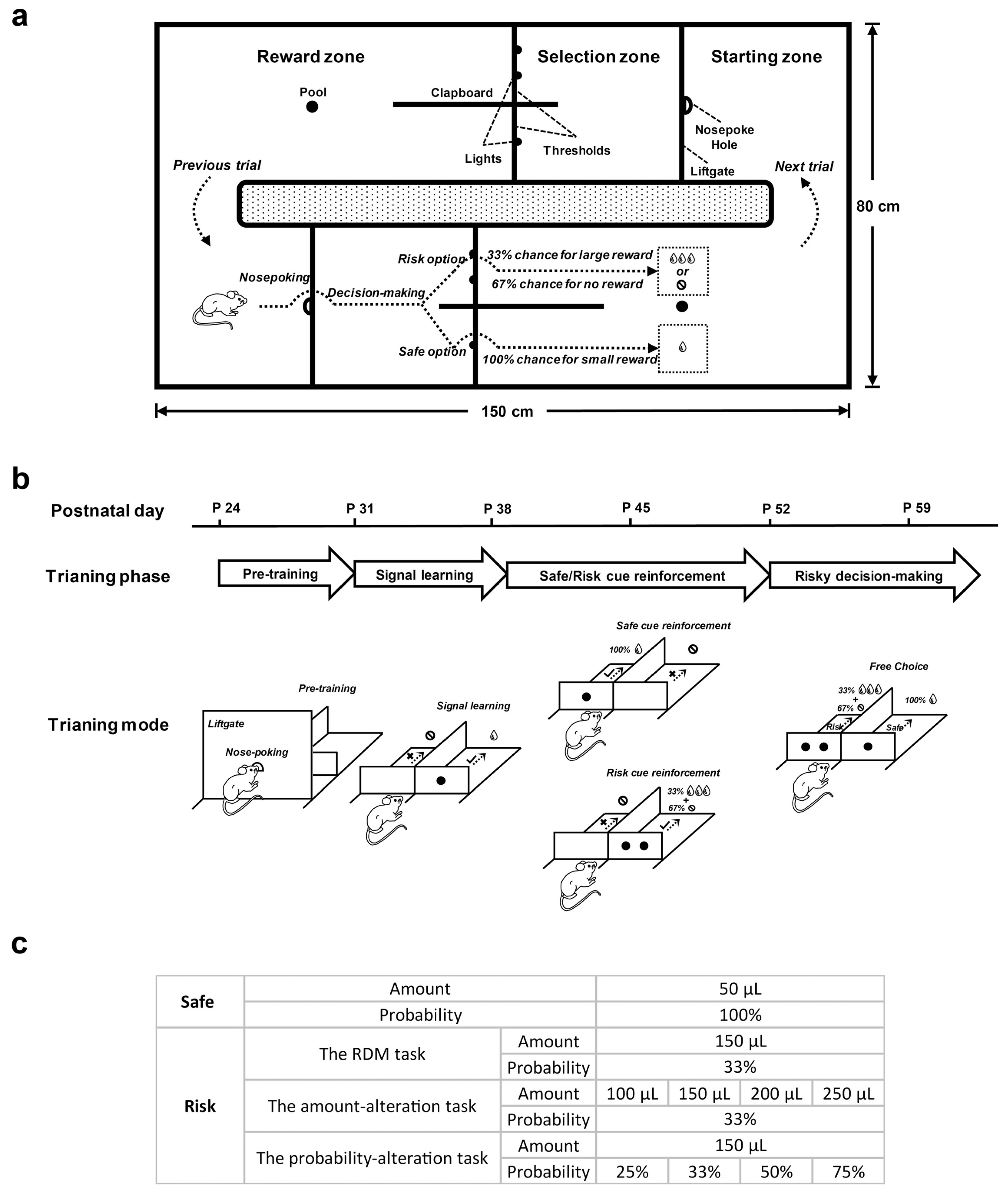 Brainsci 12 00795 g001 550