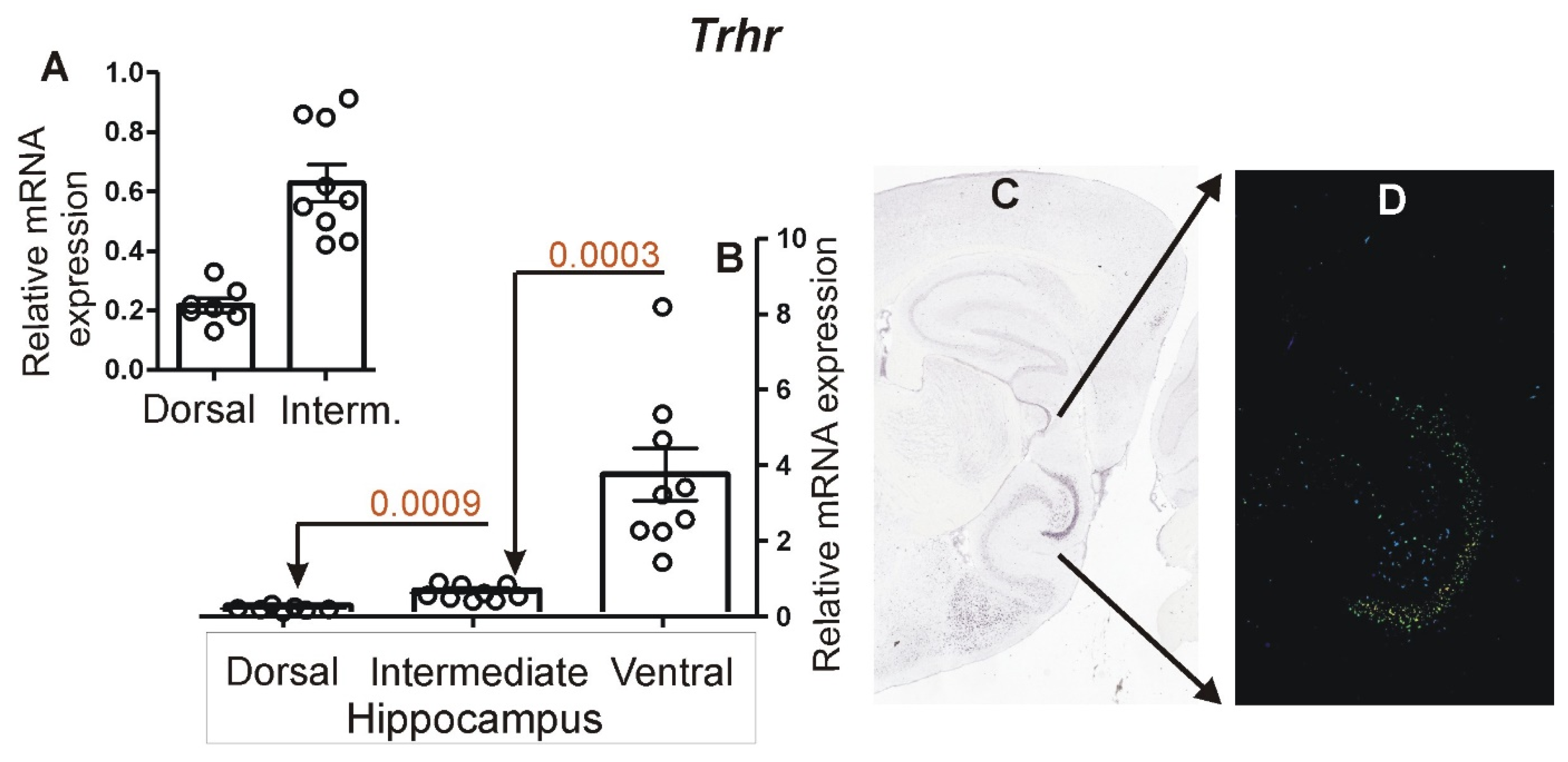 Brainsci 12 00799 g007