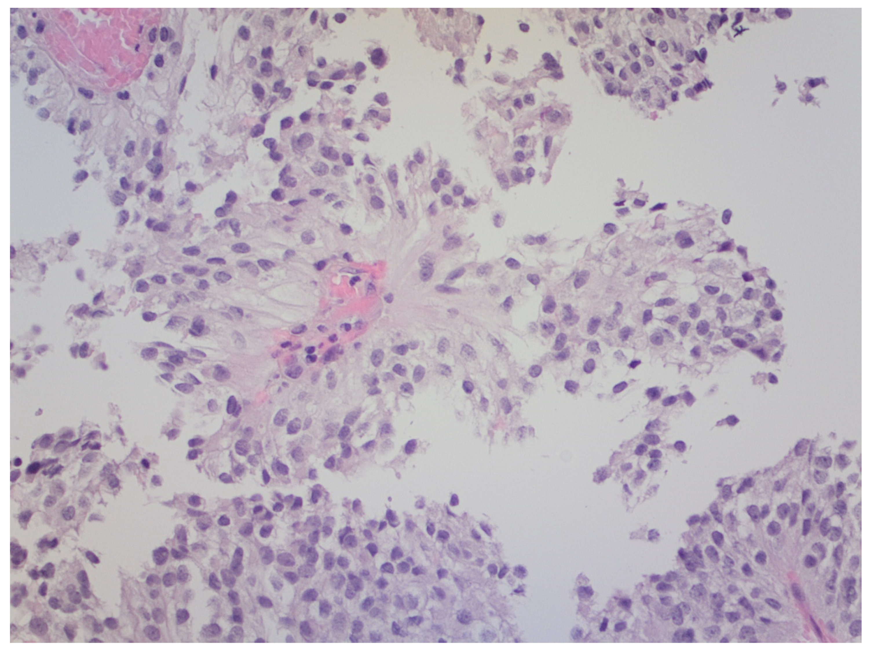 Brainsci 12 00802 g003