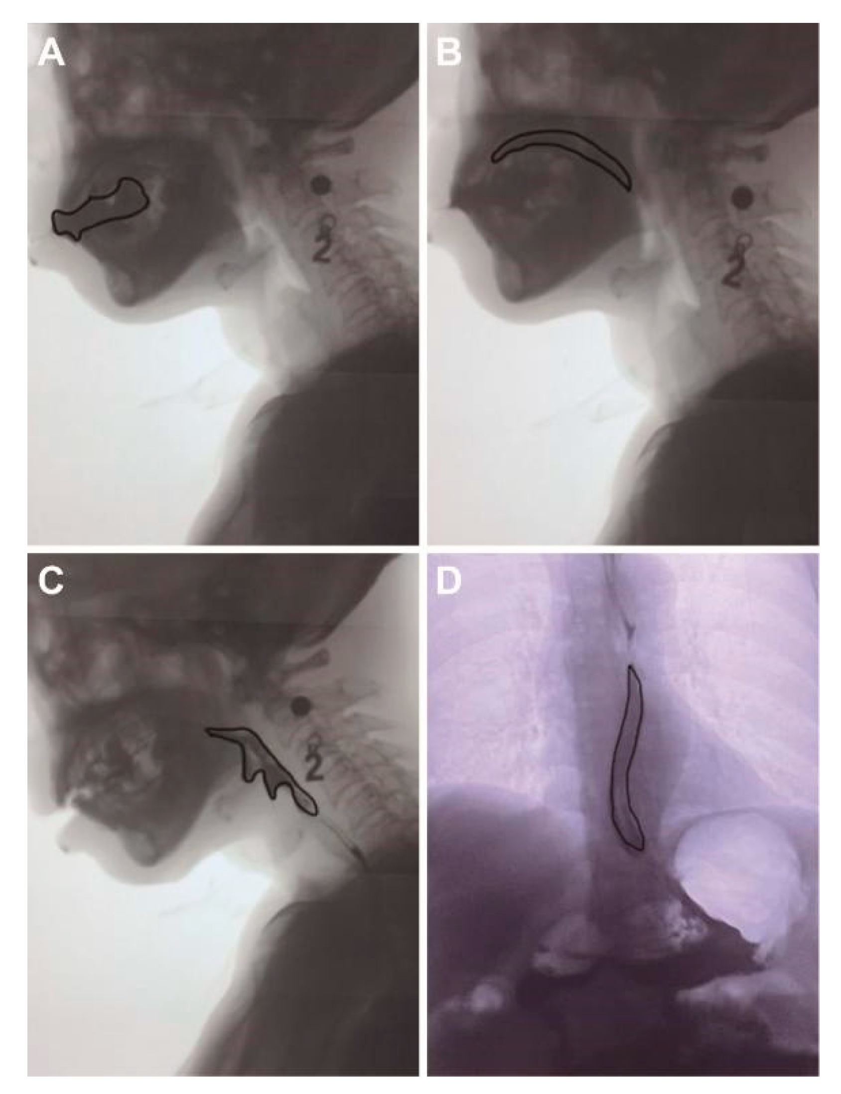 Brainsci 12 00803 g001 550