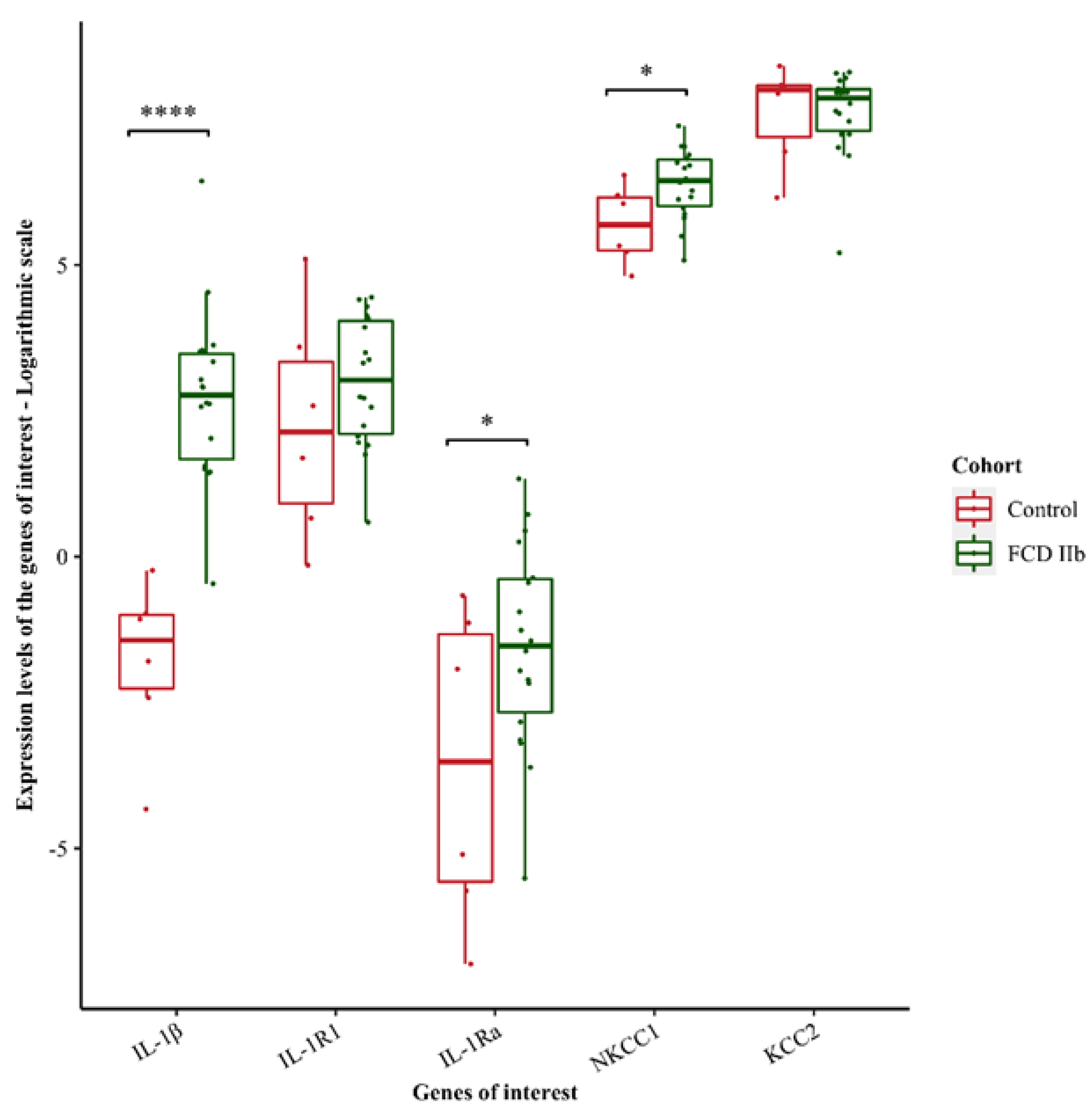 Brainsci 12 00807 g003