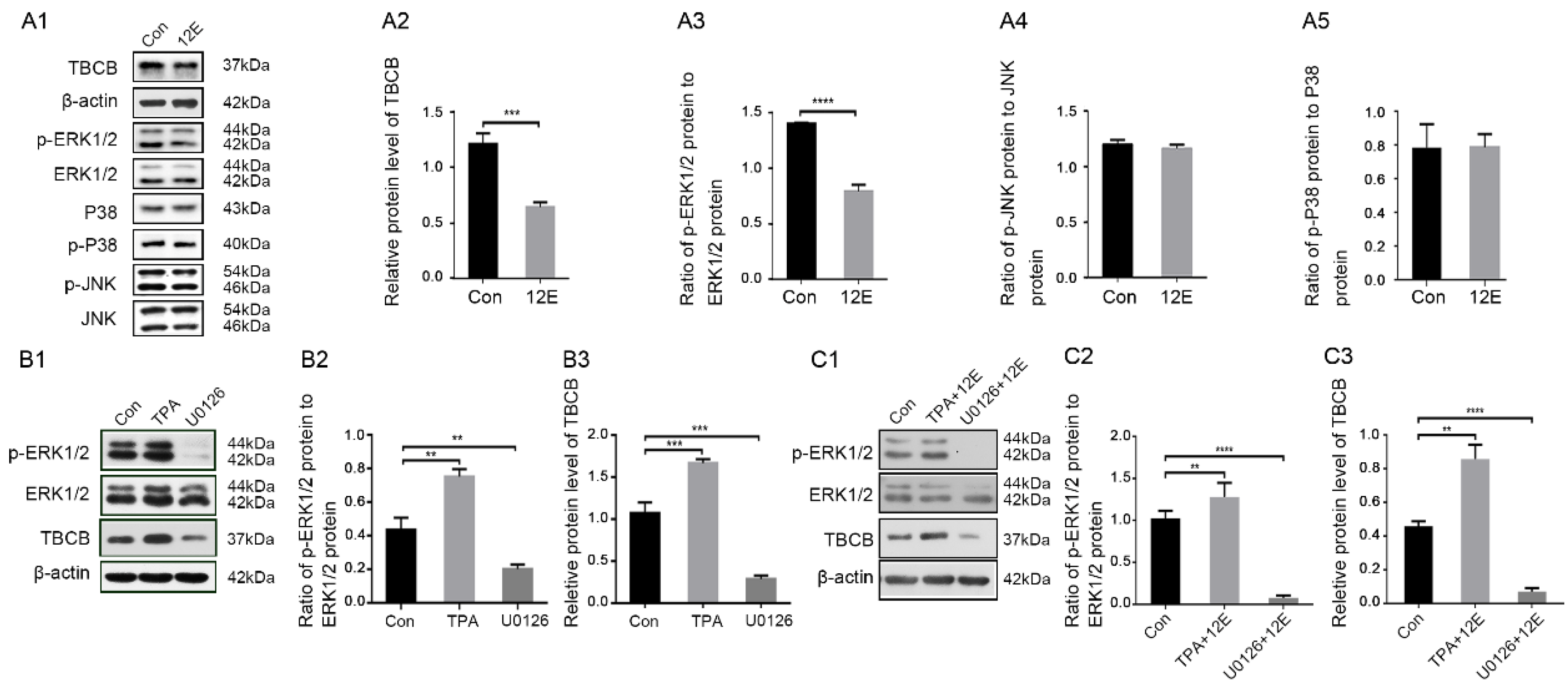 Brainsci 12 00813 g003