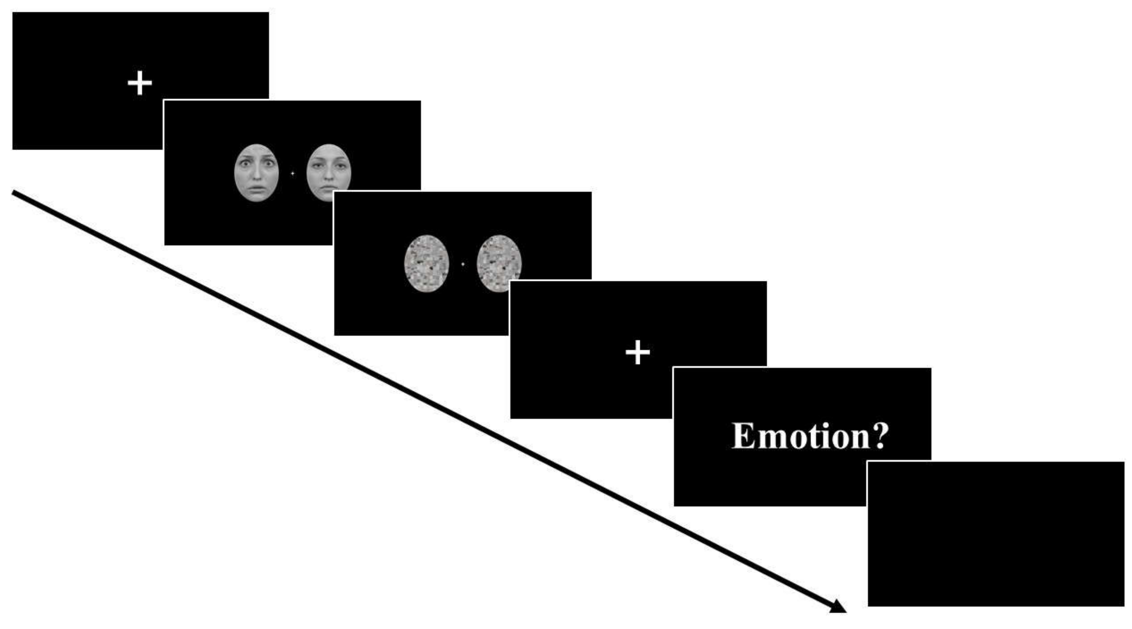 Brainsci 12 00823 g002