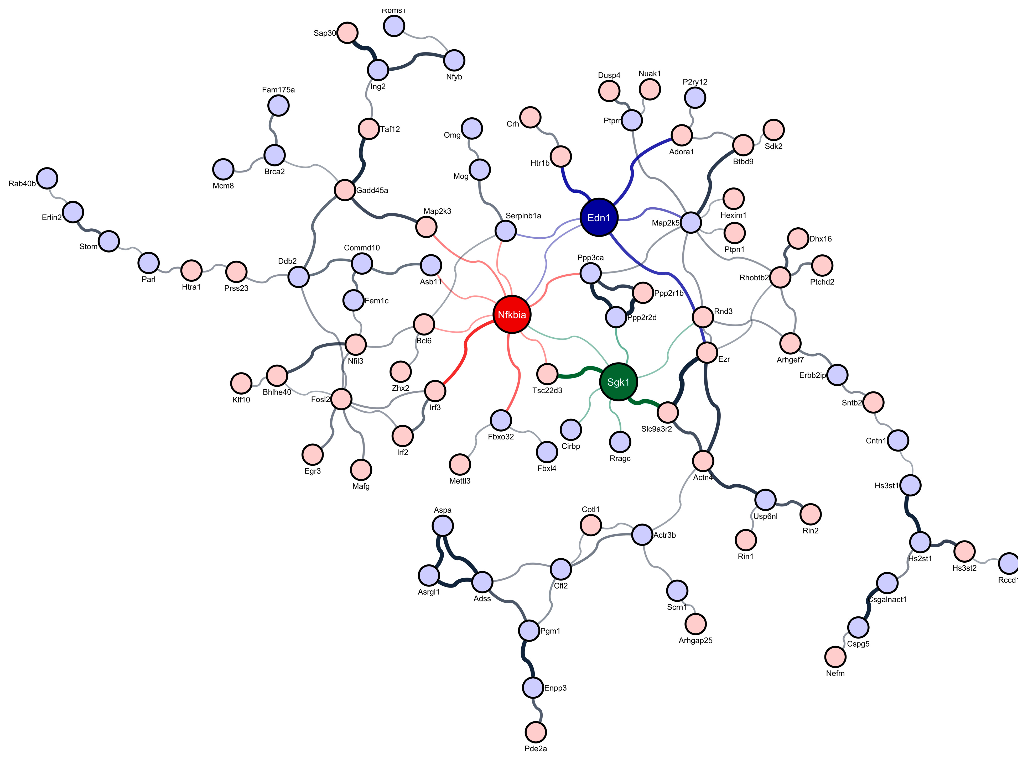 Brainsci 12 00825 g001 Brainsci 12 00825 g001