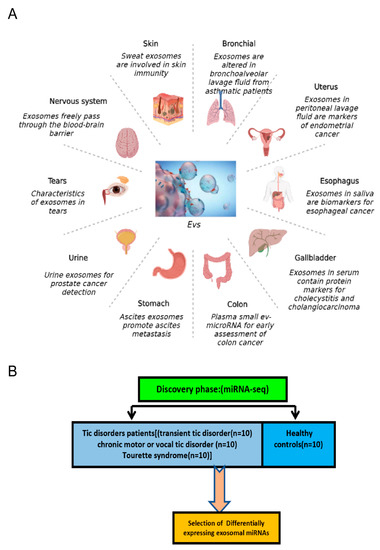 Micro-RNAs from Plasma-Derived Small Extracellular Vesicles as