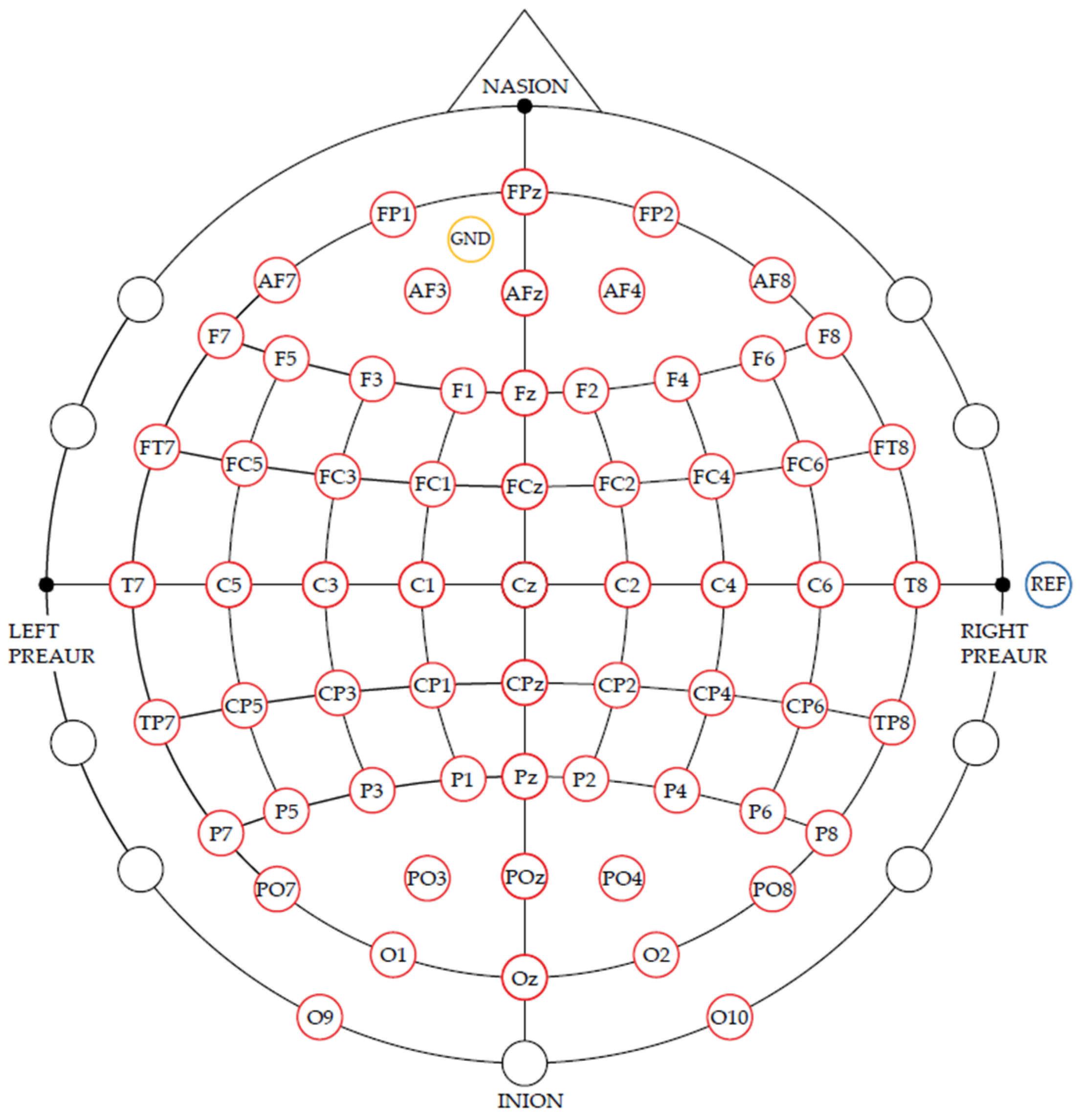 Brainsci 12 00833 g001