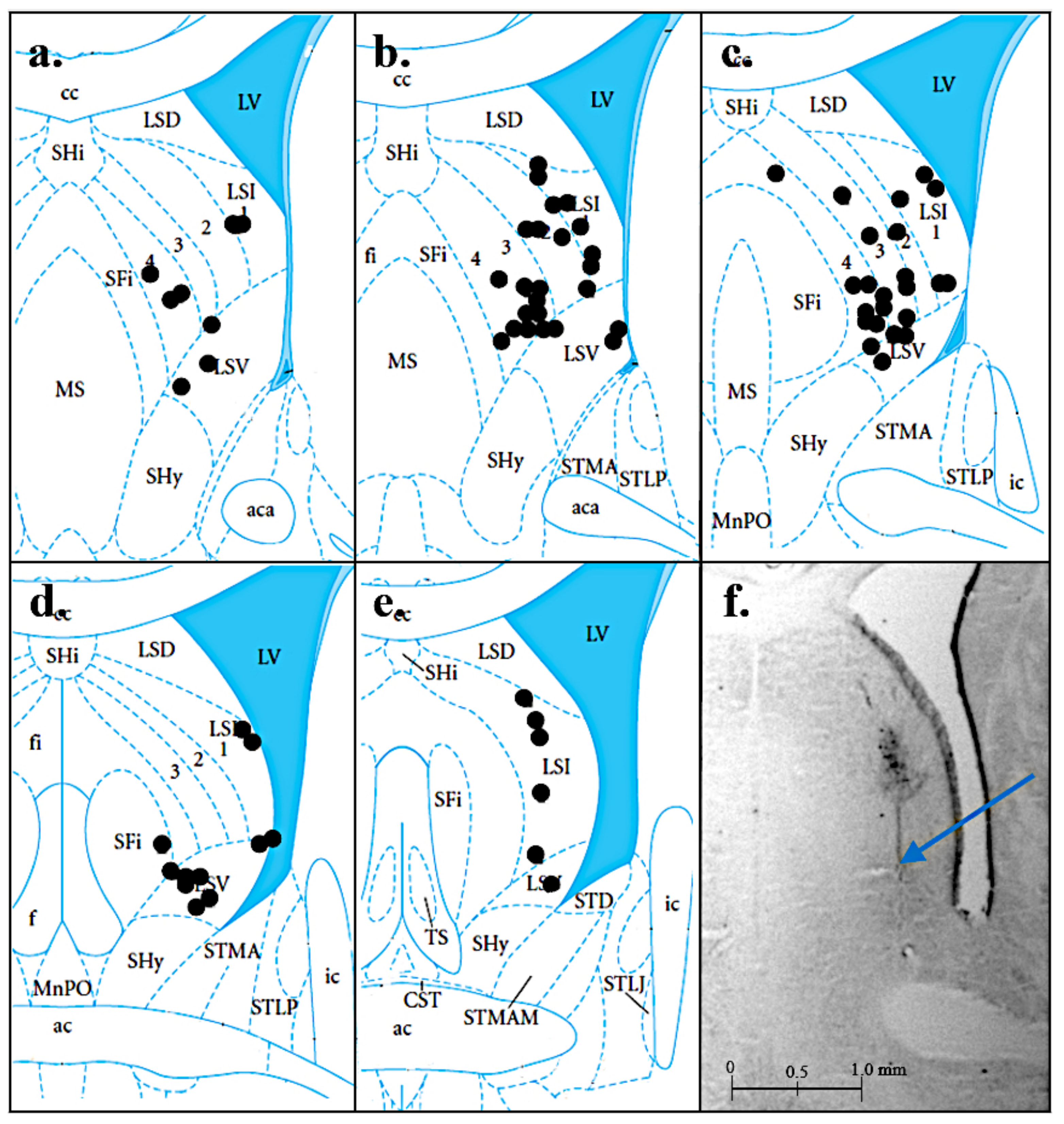 Brainsci 12 00848 g001
