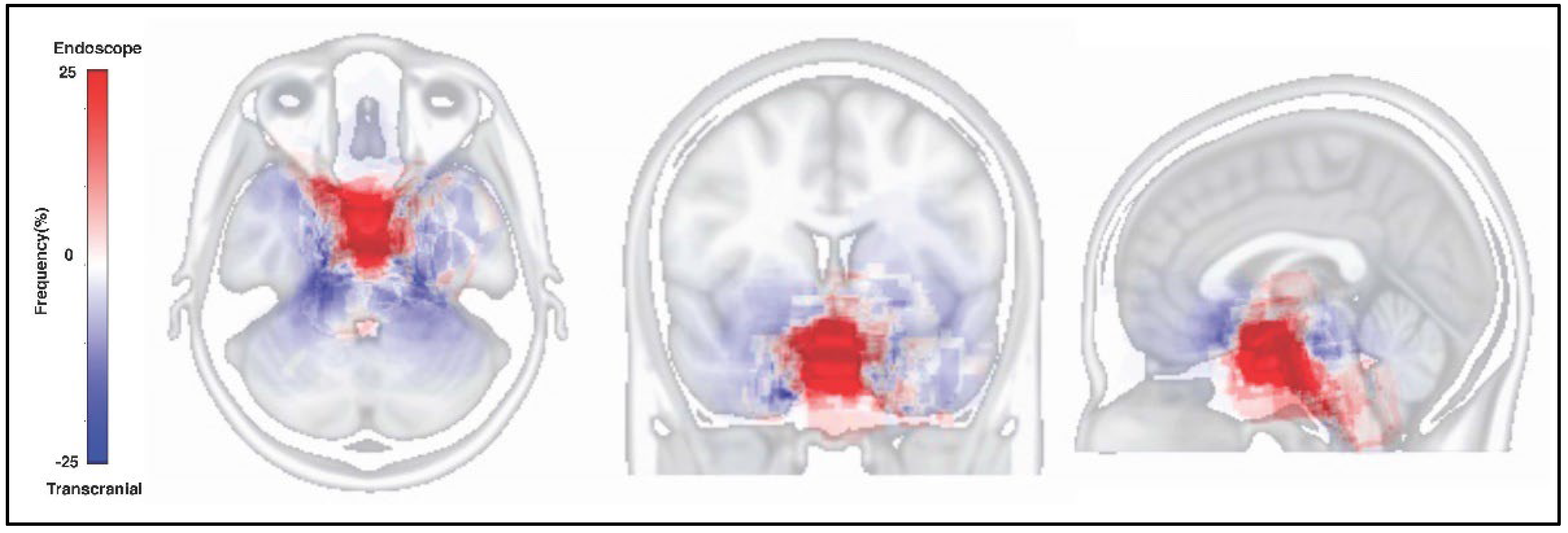Brainsci 12 00875 g002 Brainsci 12 00875 g002