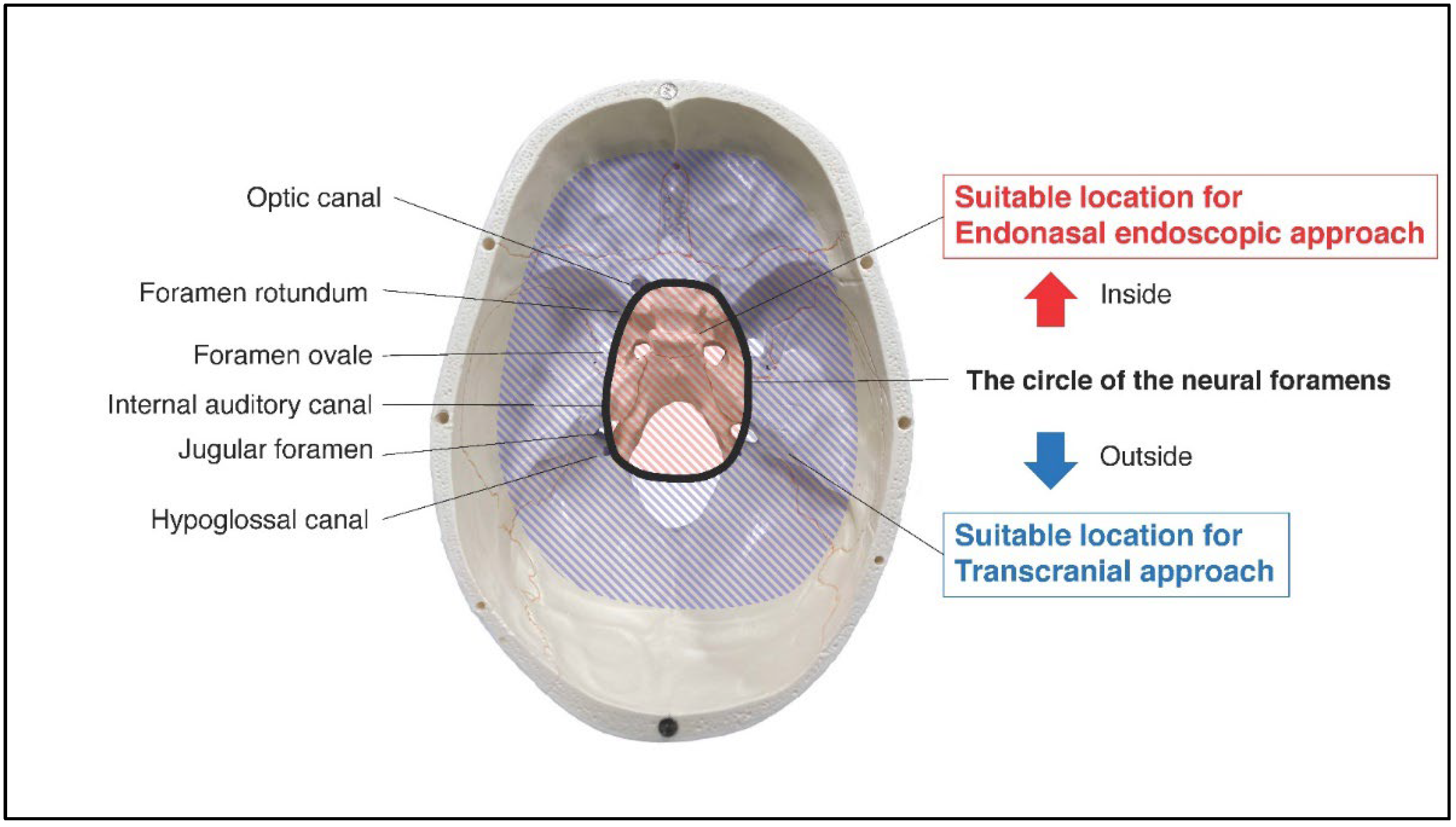 Brainsci 12 00875 g003 Brainsci 12 00875 g003