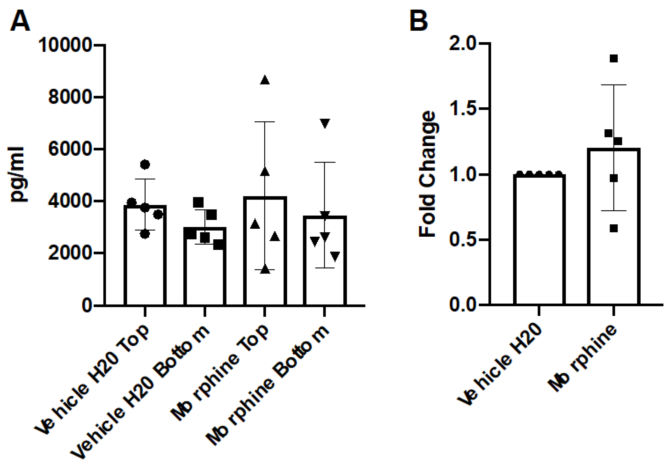 Brainsci 12 00888 g002