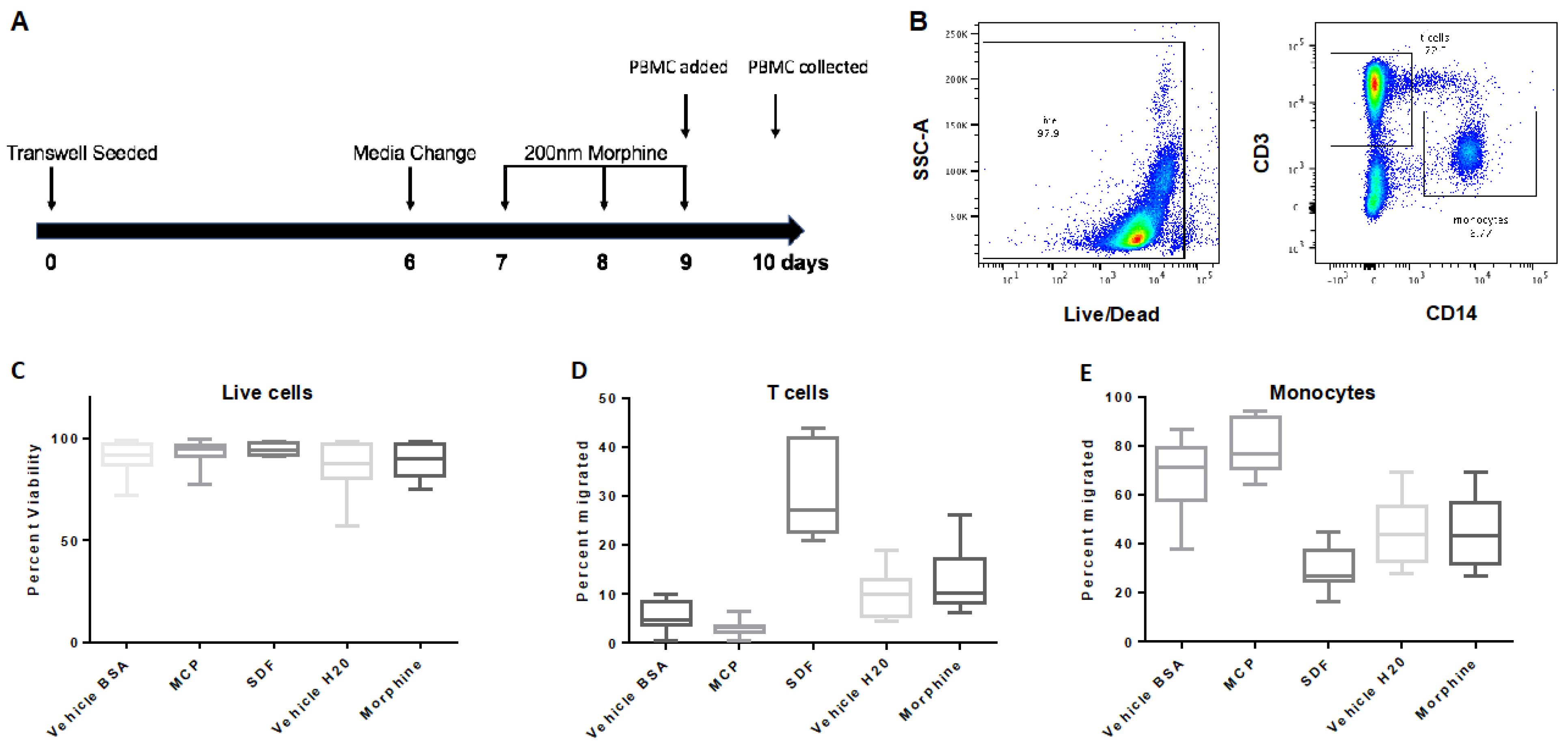 Brainsci 12 00888 g003