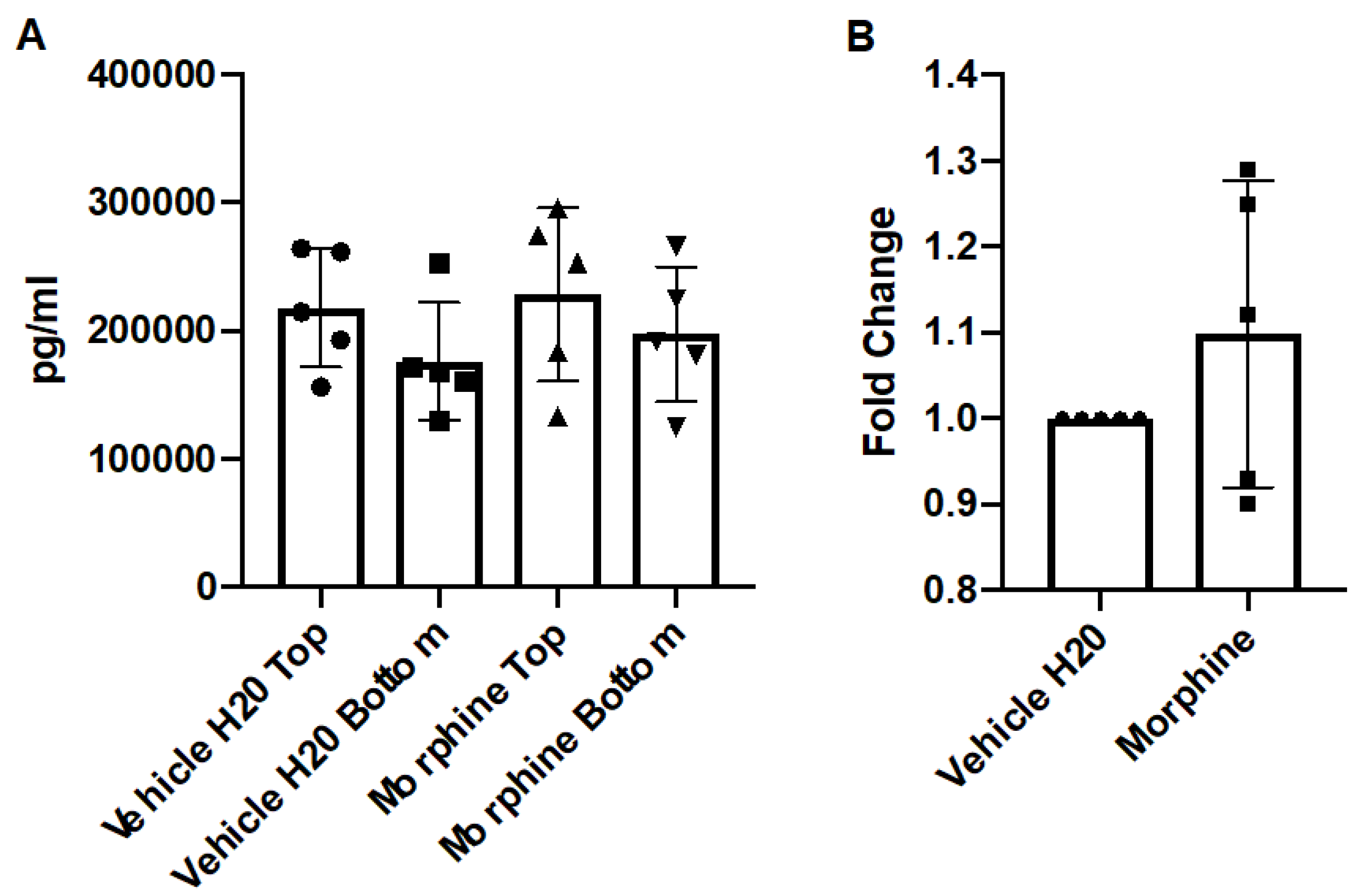 Brainsci 12 00888 g004