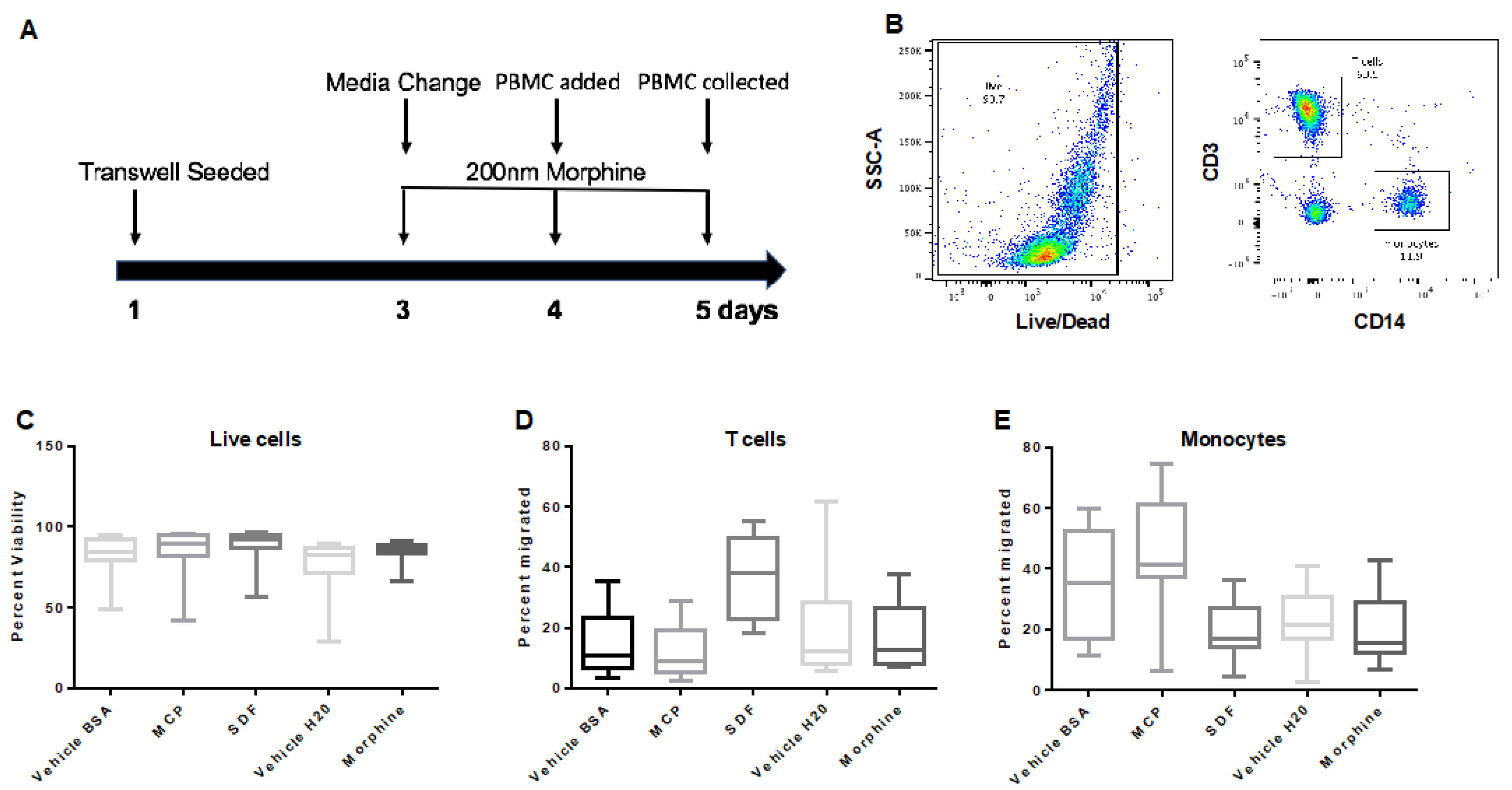Brainsci 12 00888 g005