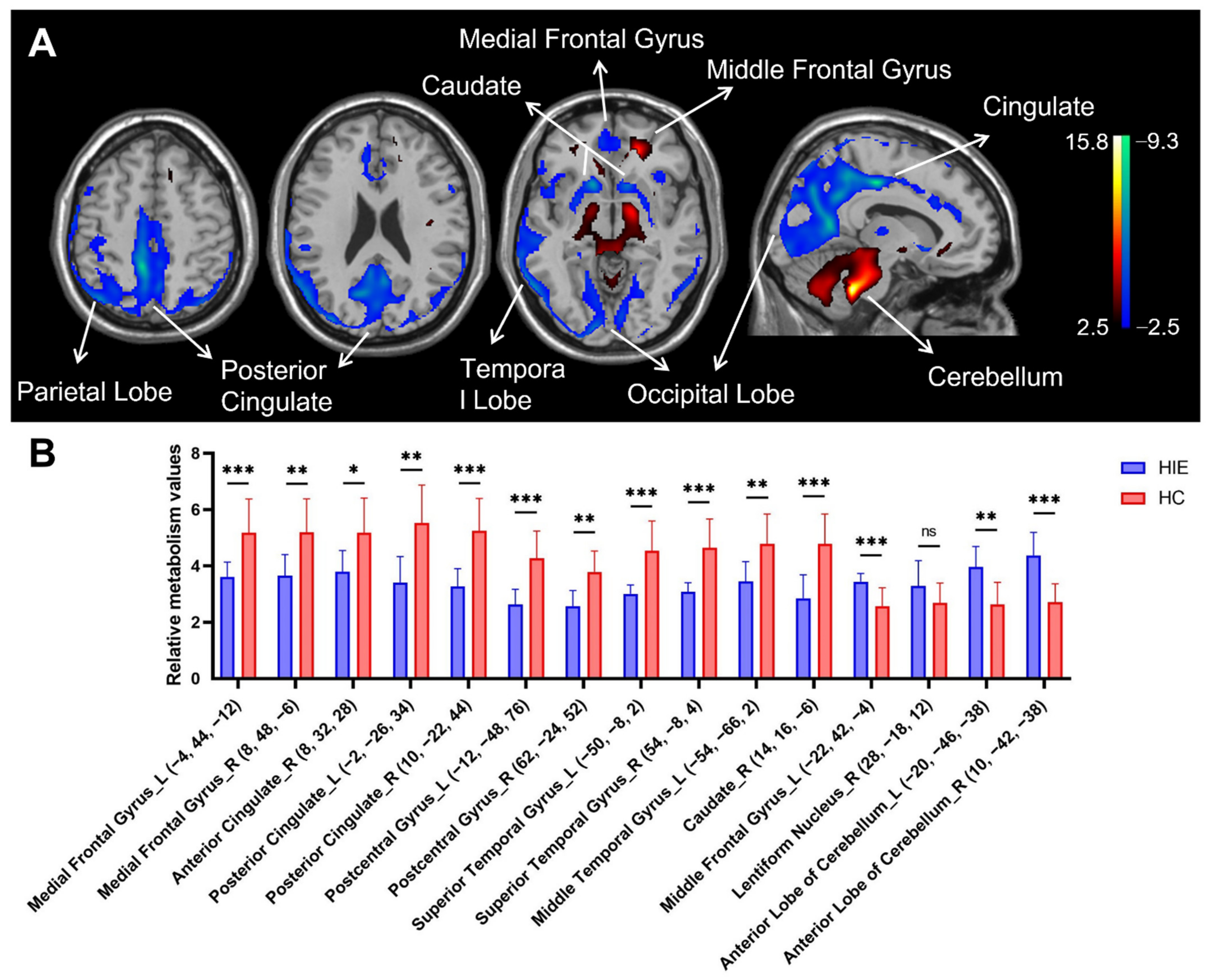 Brainsci 12 00892 g001