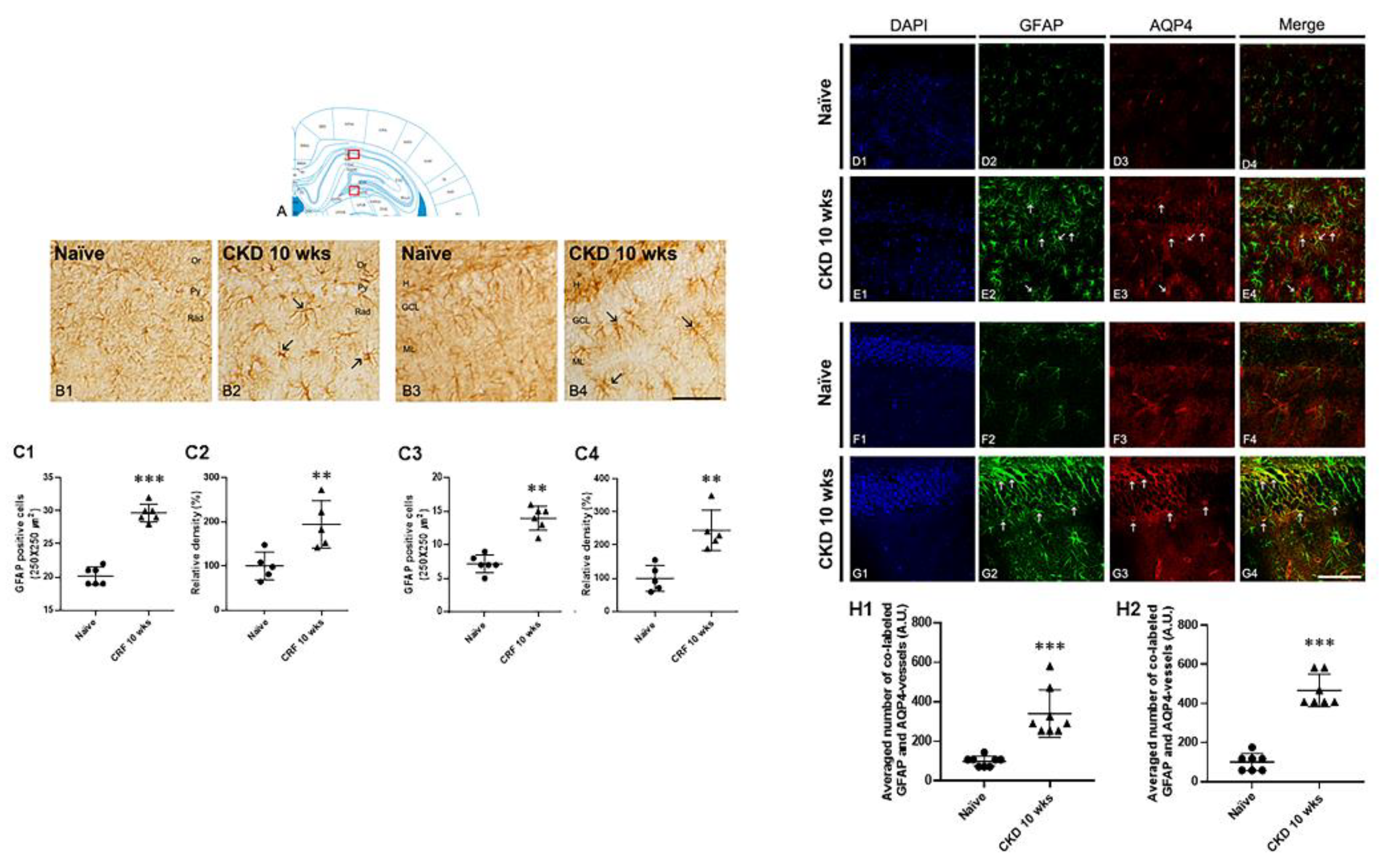 Brainsci 12 00905 g006 Brainsci 12 00905 g006