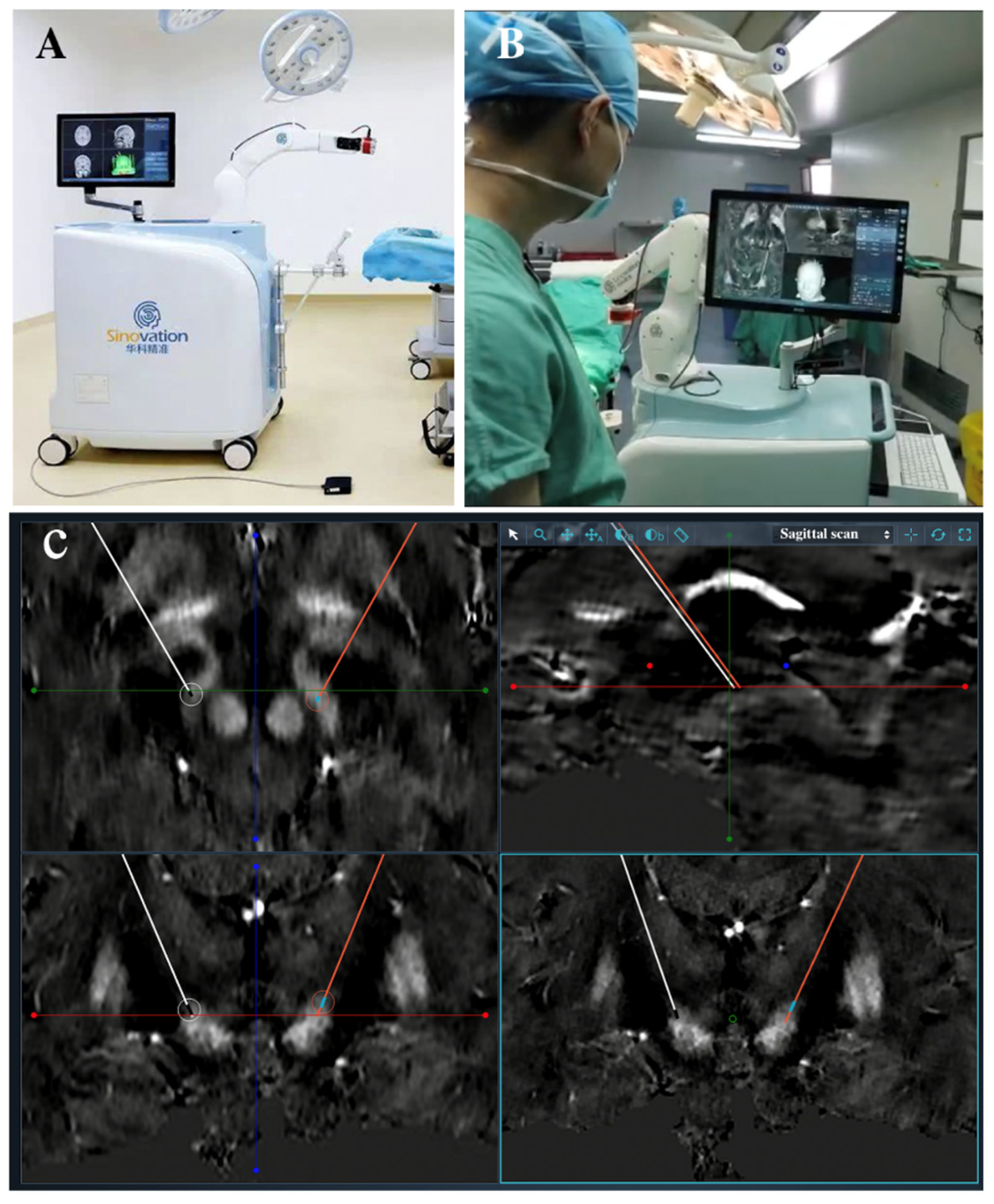 Brainsci 12 00906 g001