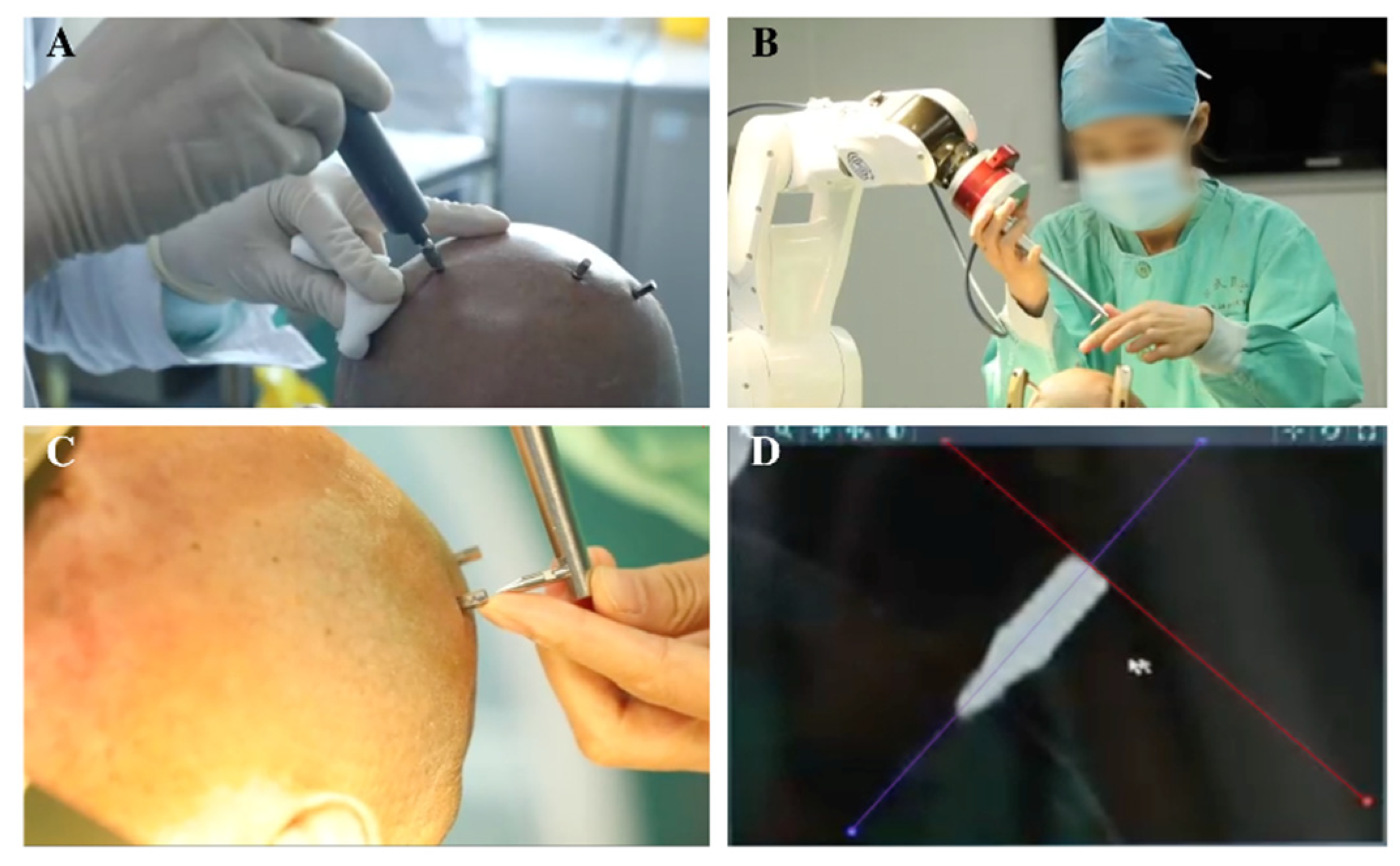 Brainsci 12 00906 g002