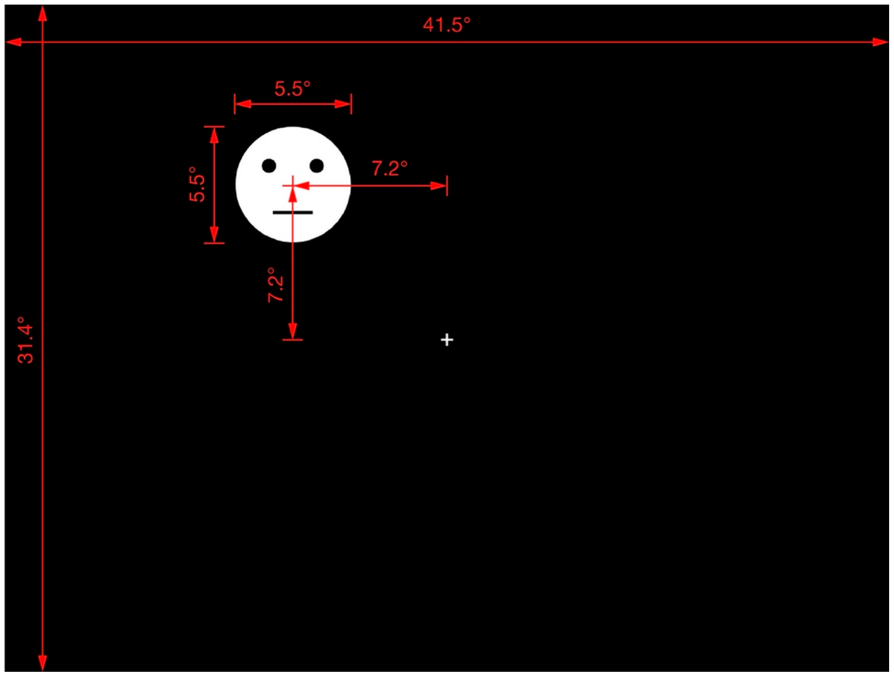 Brainsci 12 00914 g002