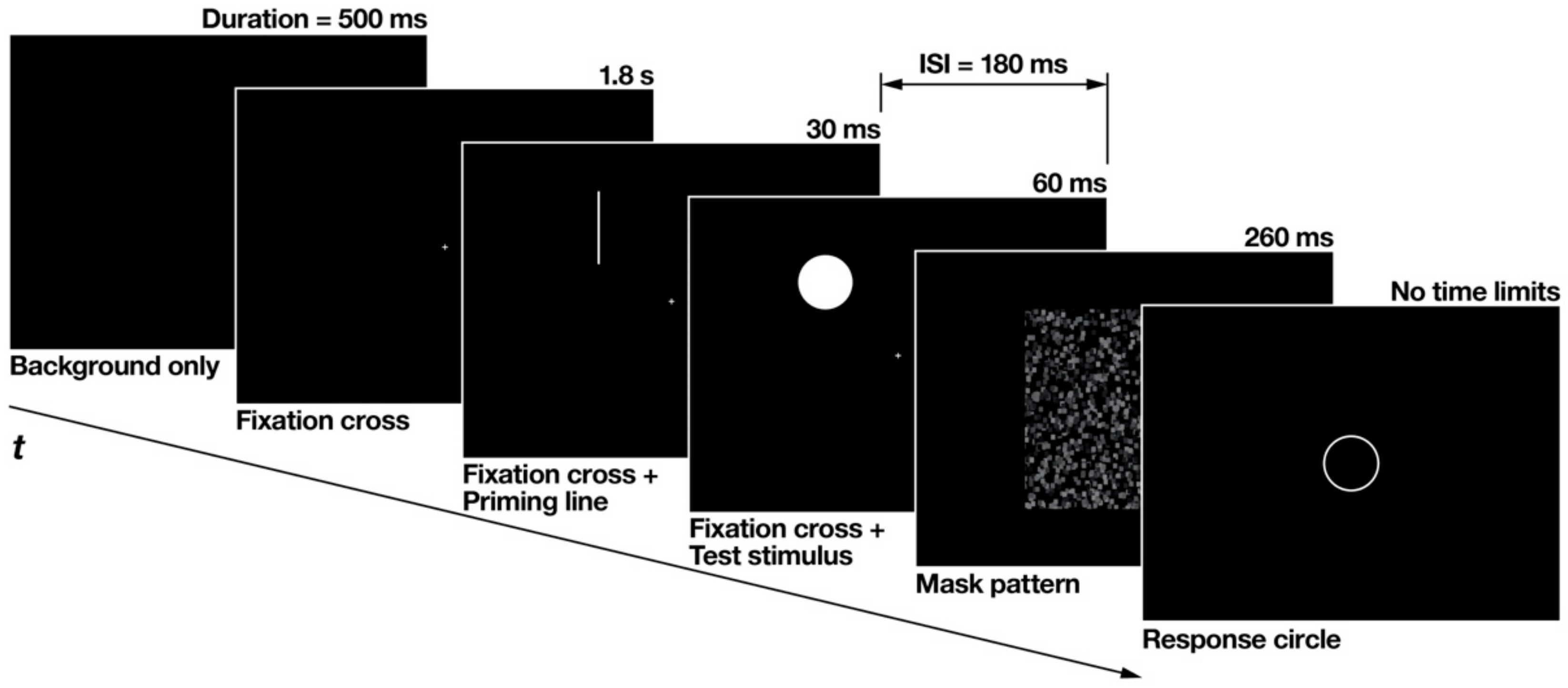 Brainsci 12 00914 g003