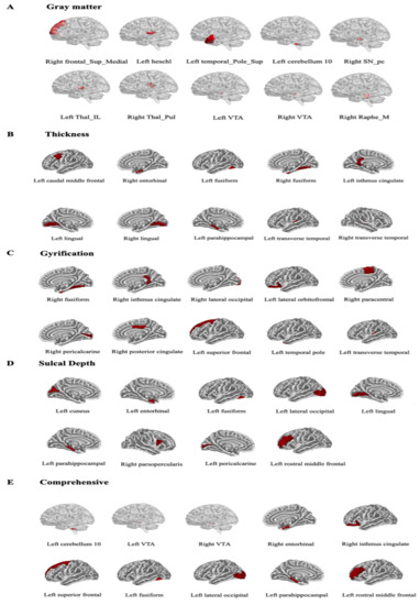 Comprehensive Cortical Structural Features Predict the
