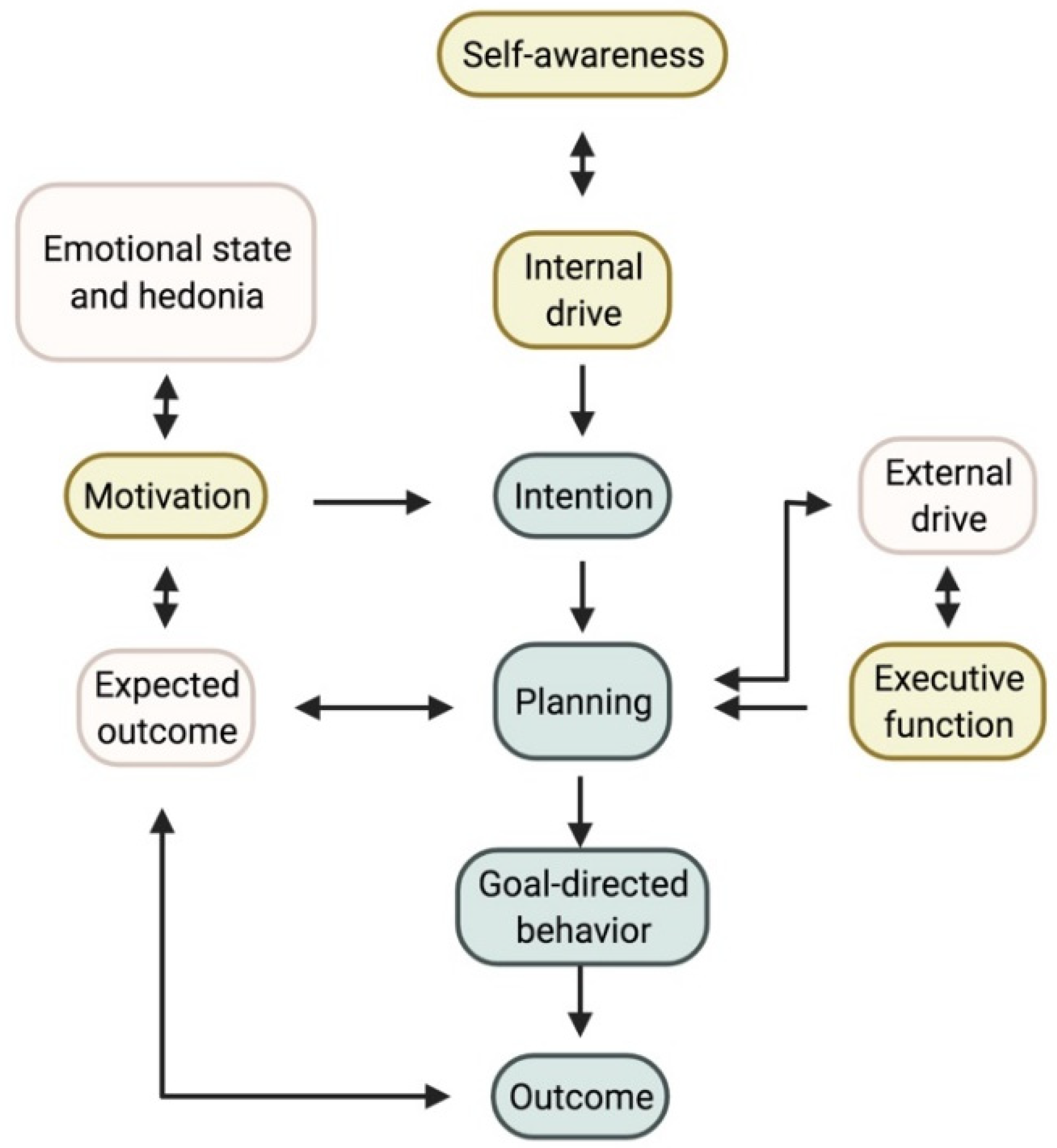 Brainsci 12 00923 g001 550