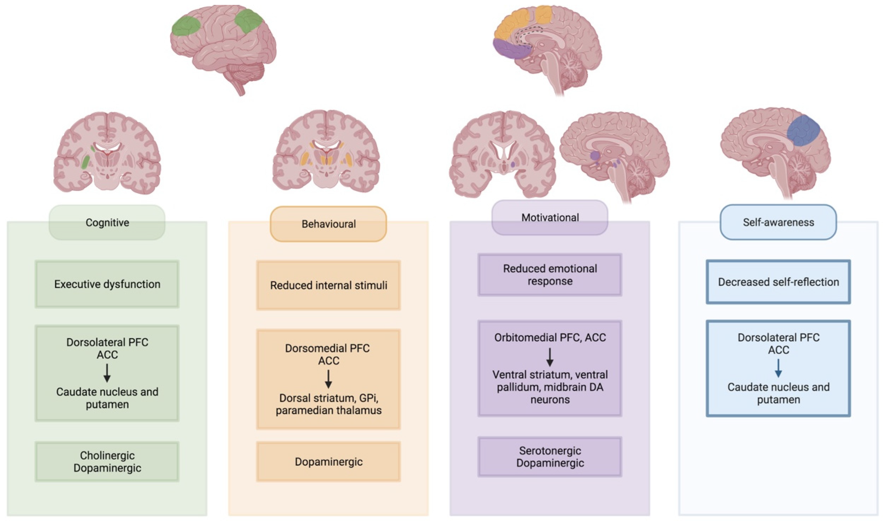 Brainsci 12 00923 g002 550