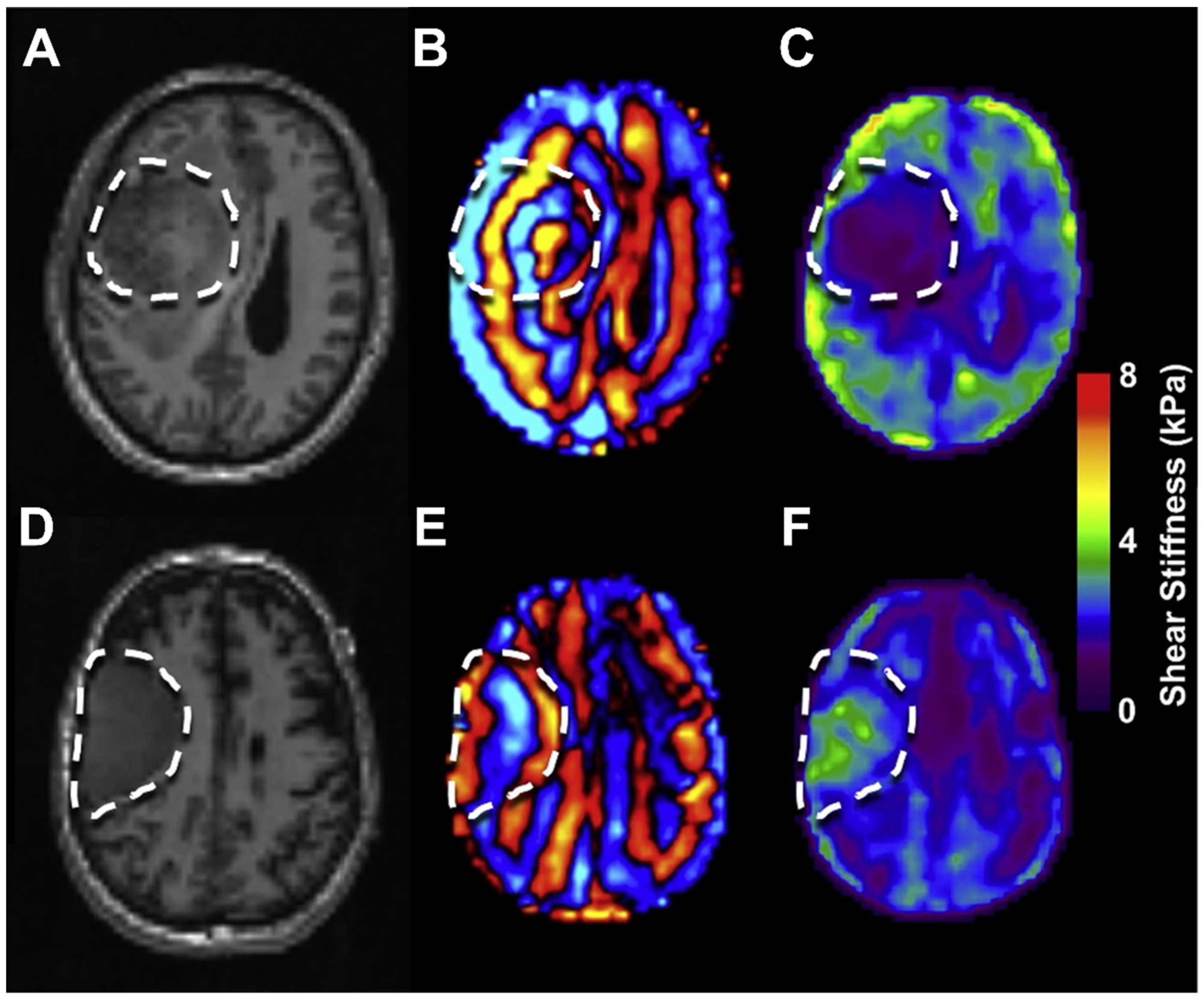 Brainsci 12 00927 g003