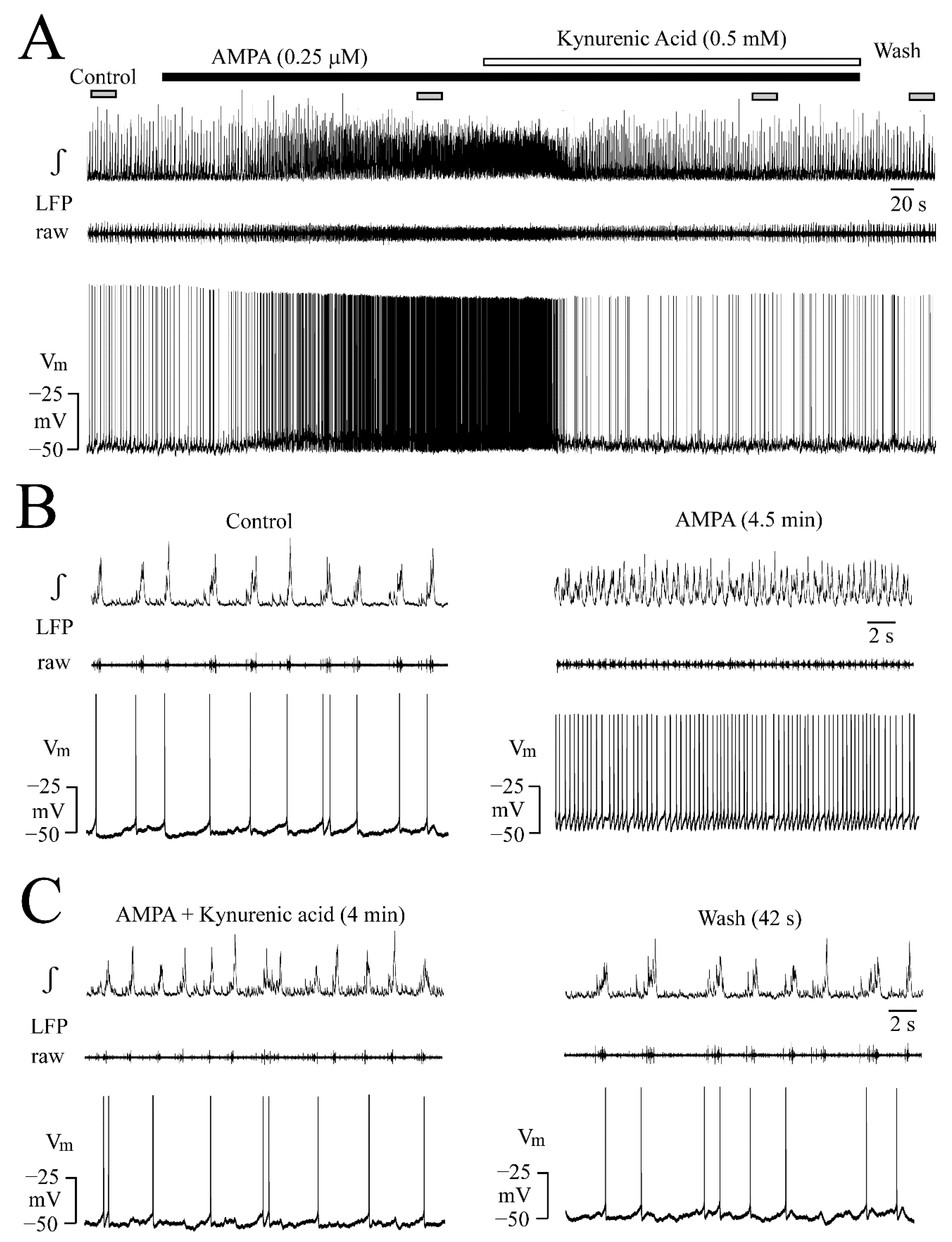 Brainsci 12 00945 g005