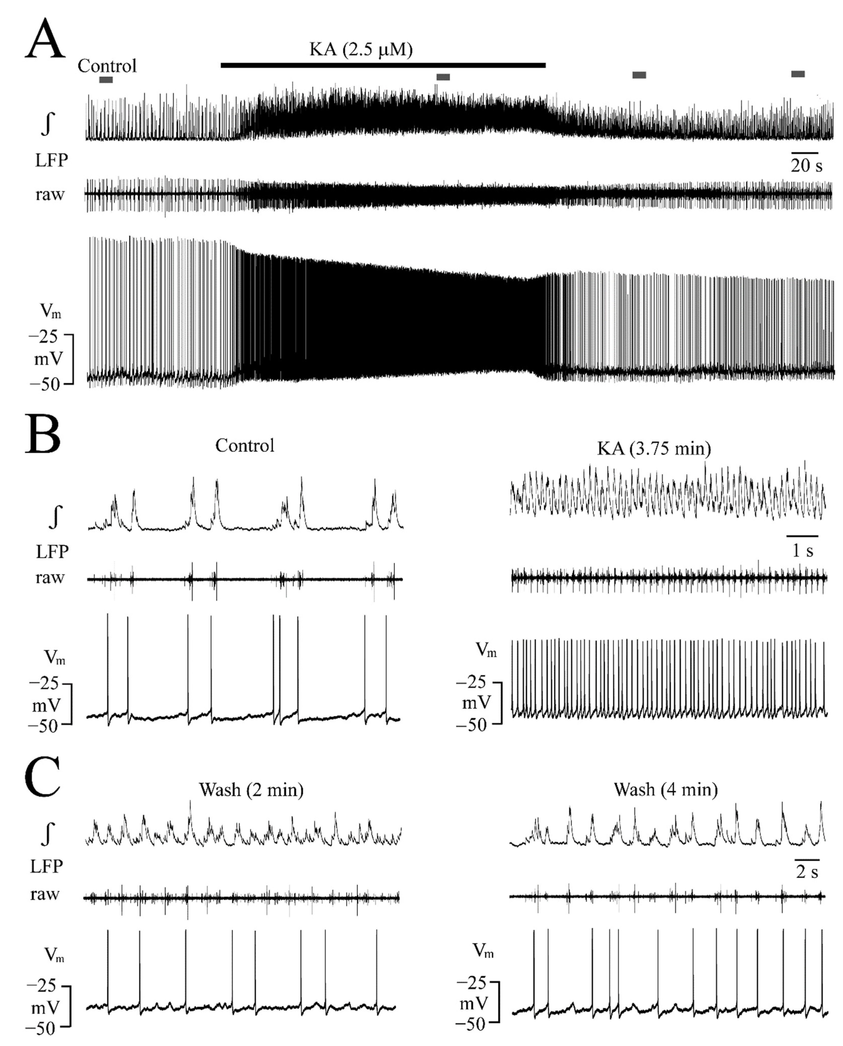 Brainsci 12 00945 g007